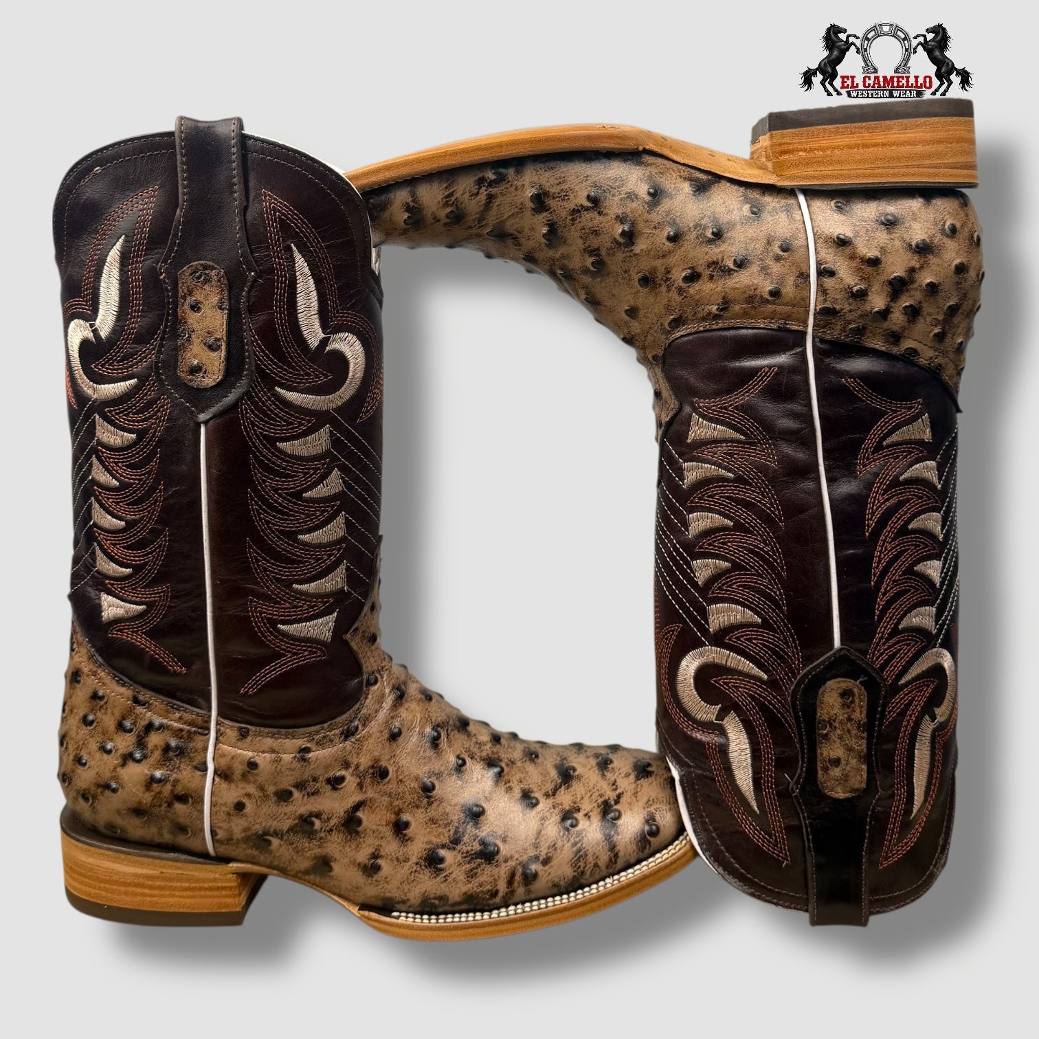 Avestruz Cajeta Torres Boots TBRCC140
