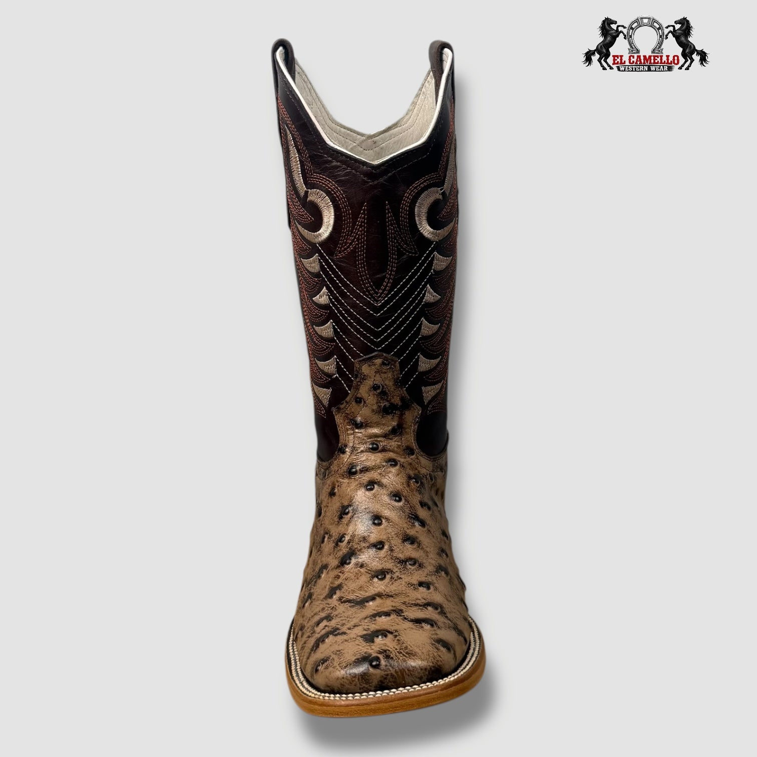 Avestruz Cajeta Torres Boots TBRCC140