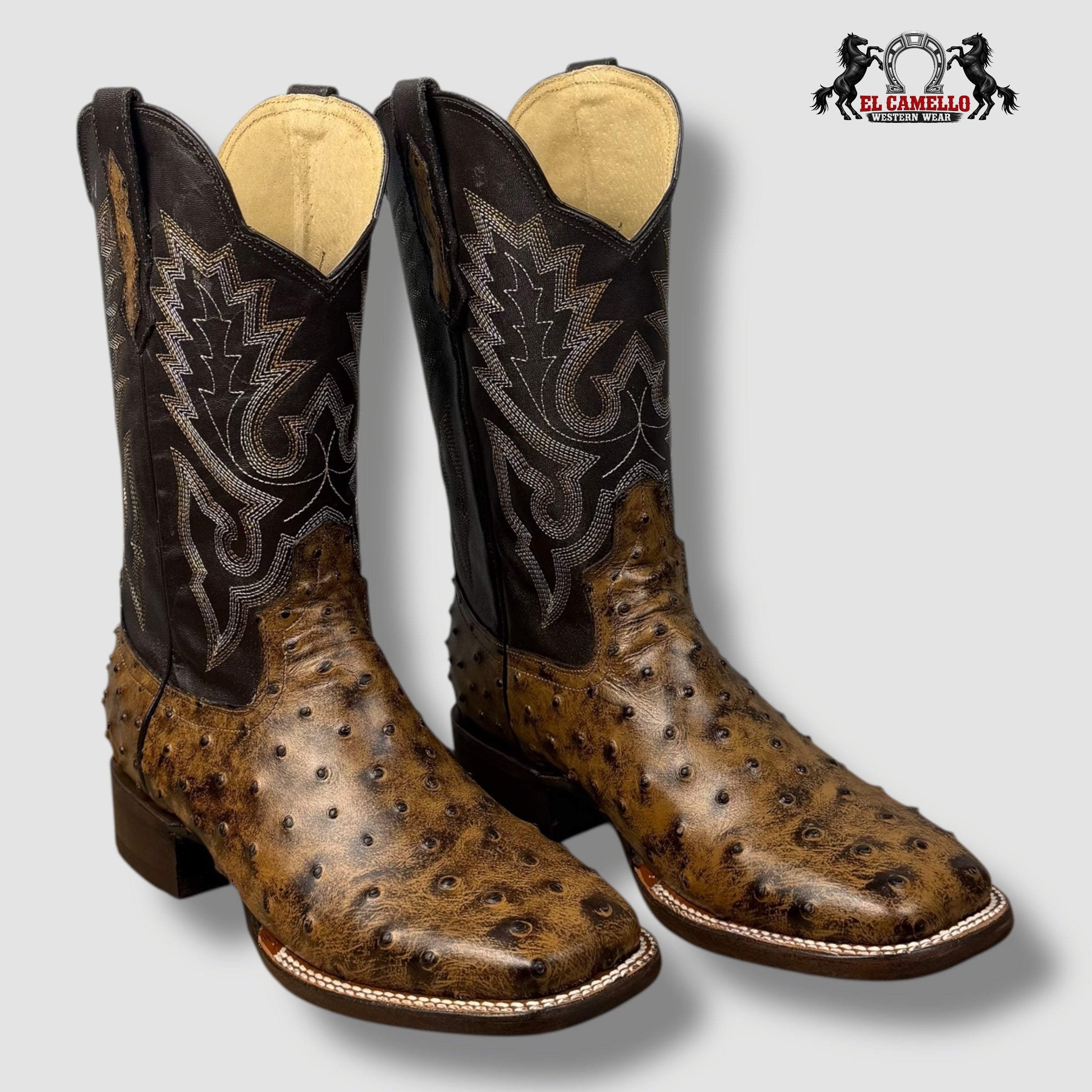 Avestruz Miel Rodeo Torres Boots TBRCC145