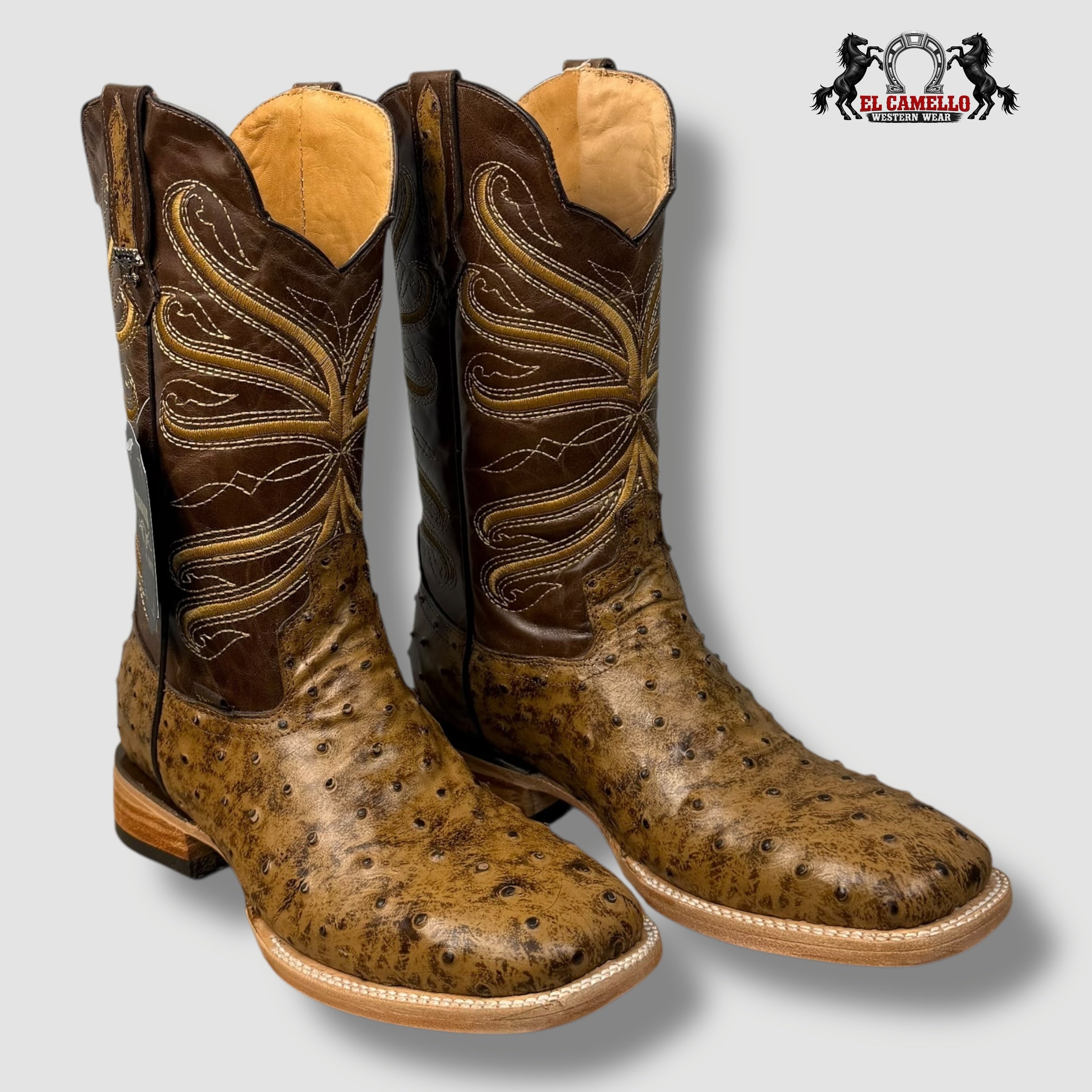 Avestruz Miel Torres Boots TBRCC136