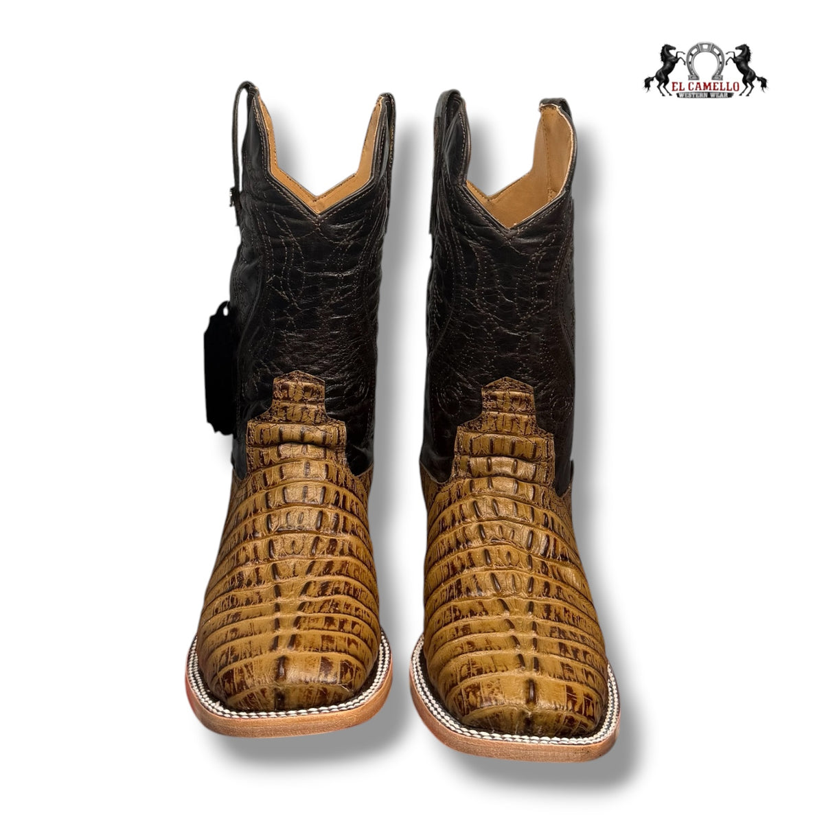 COLA CAIMAN MIEL TORRES BOOTS TBRCC215