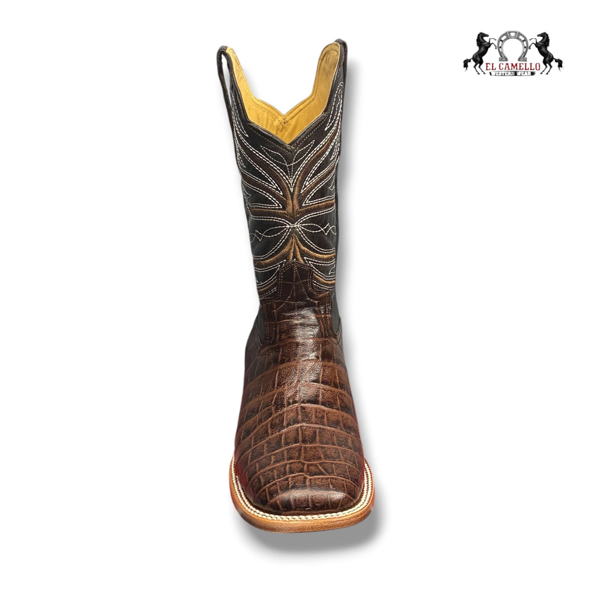 BELLY CAFE TORRES BOOTS