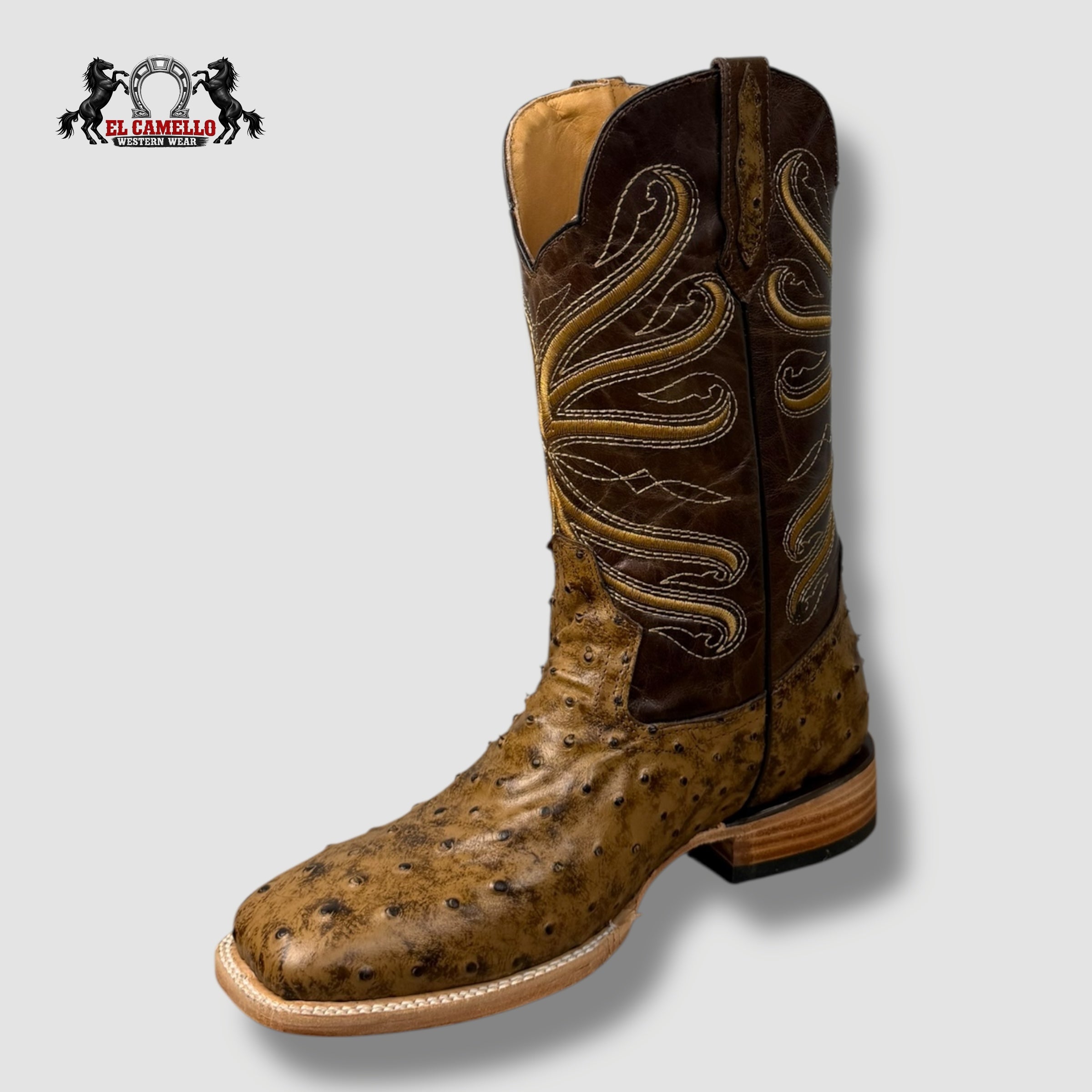 Avestruz Miel Torres Boots TBRCC136