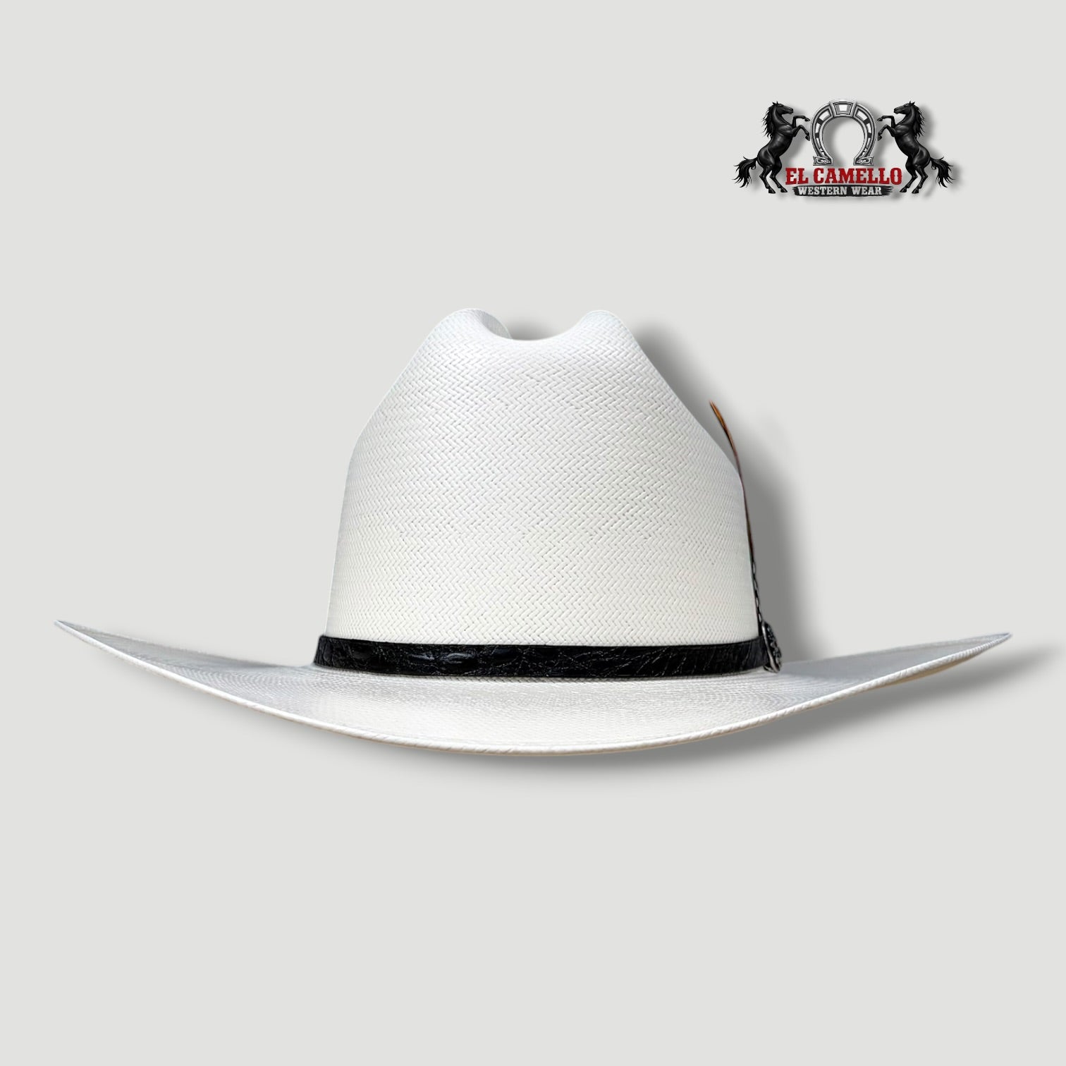30X Torres Ranch "Ranchera" Sombrero