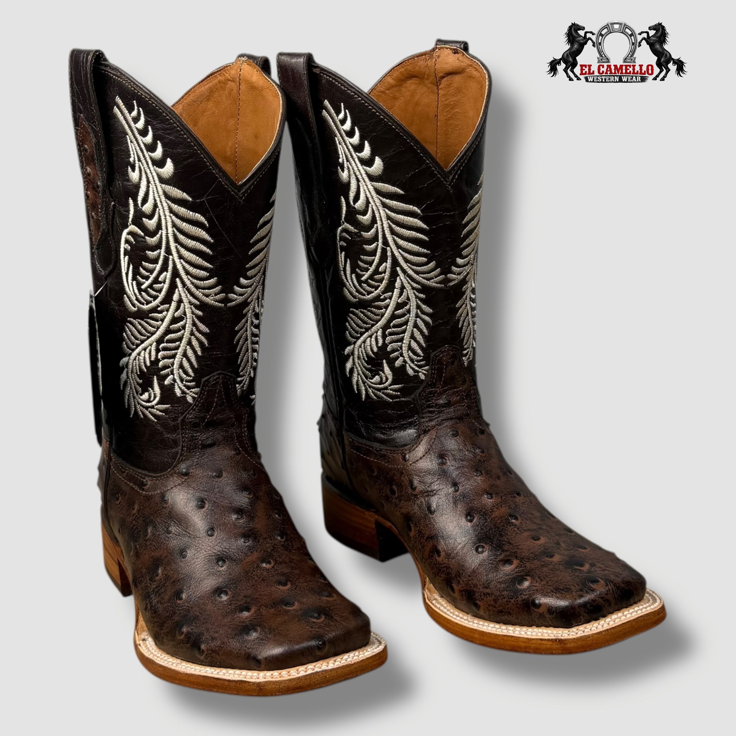 Avestruz Cafe Torres Boots TBRCC135