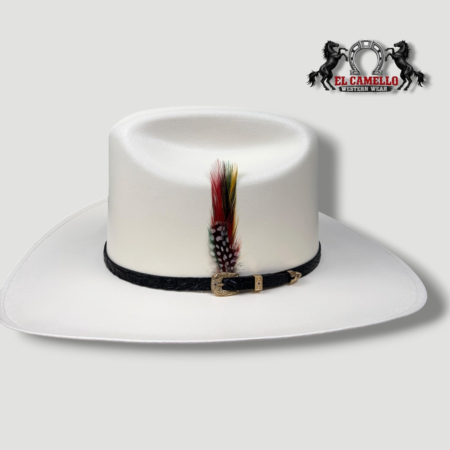 5000 Torres Ranch "JOHNSON" Sombrero
