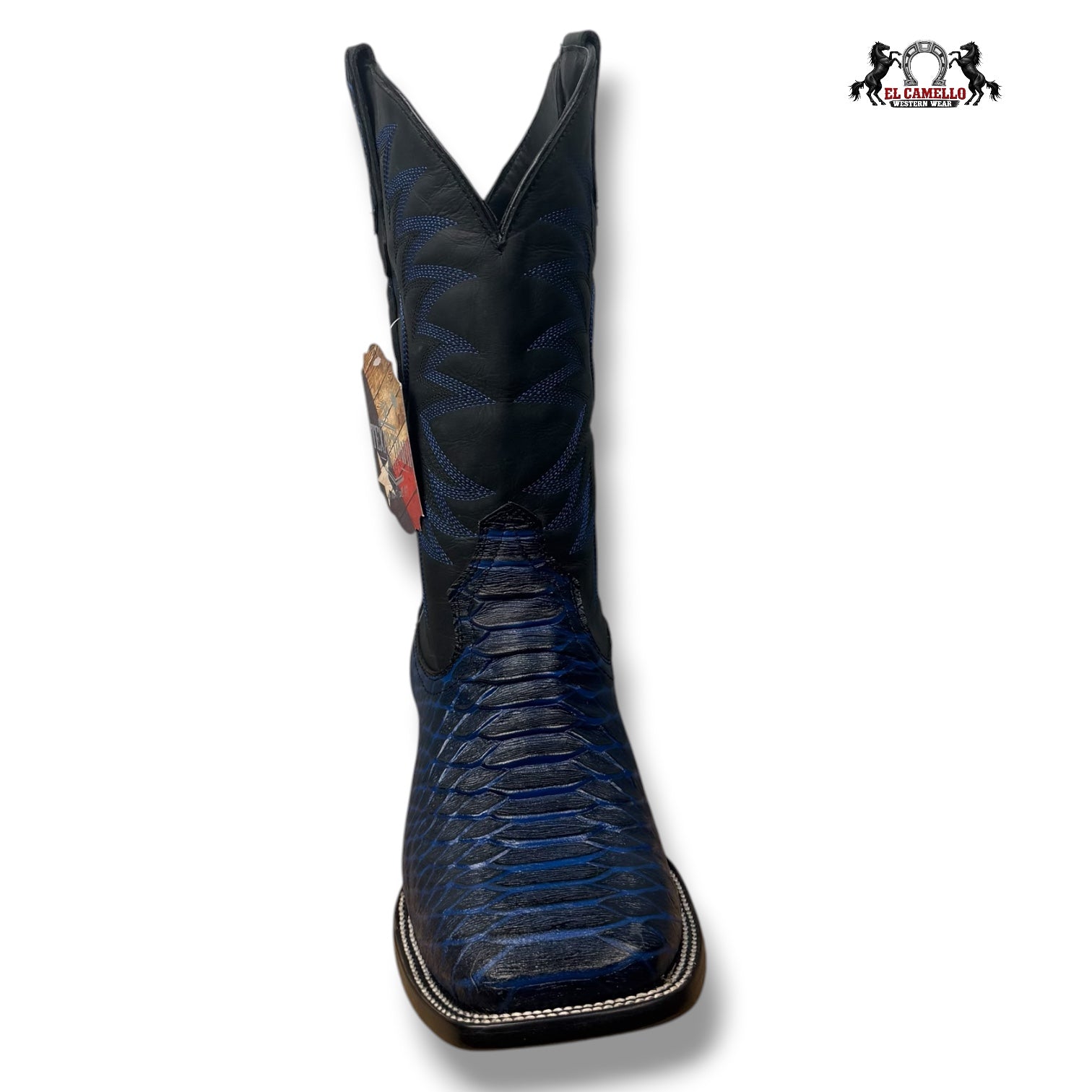 Python Jumbo Azul Neón