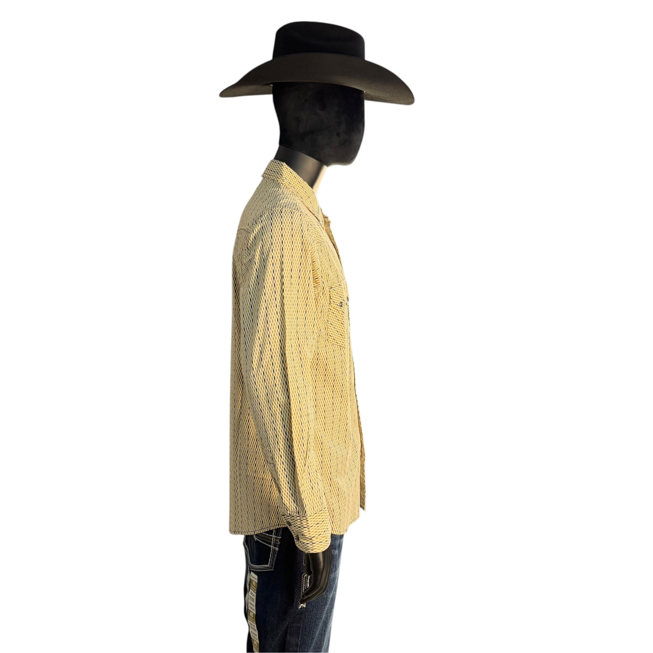 Men’s Classic Cinch Micro Print Long Sleeve Western Shirt