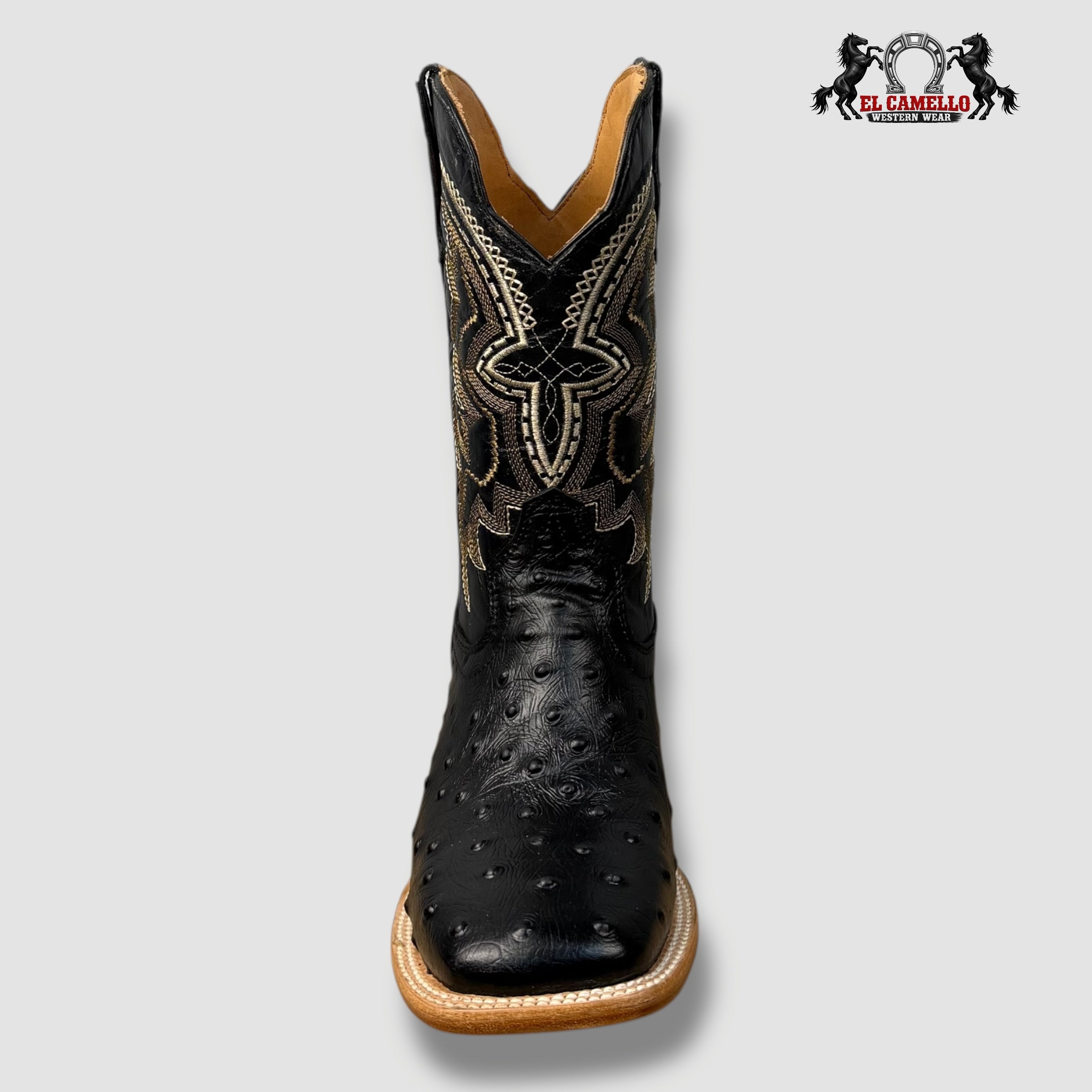 Avestruz Negro Torres Boots TBRCC134