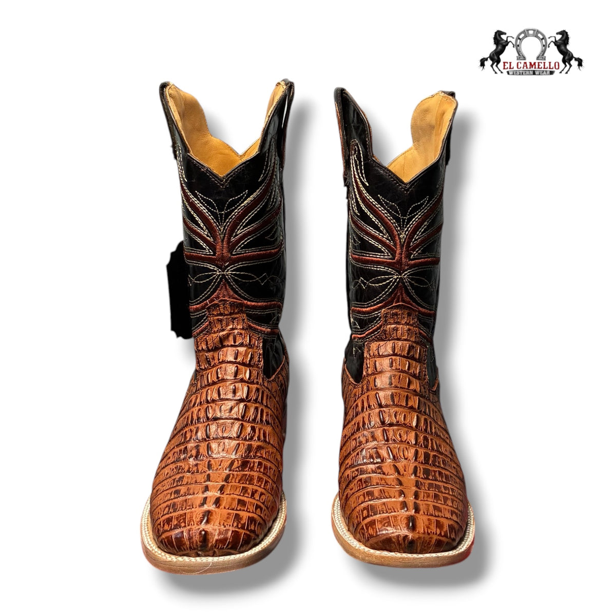 COLA CAIMAN SHEDRON TBRCC209 TODOS TIENEN ETIQUETA