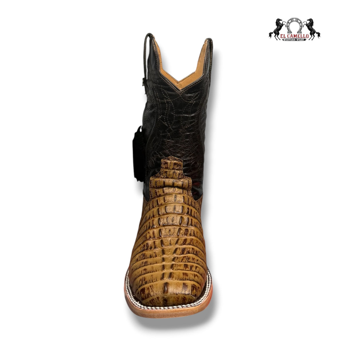 COLA CAIMAN MIEL TORRES BOOTS TBRCC215