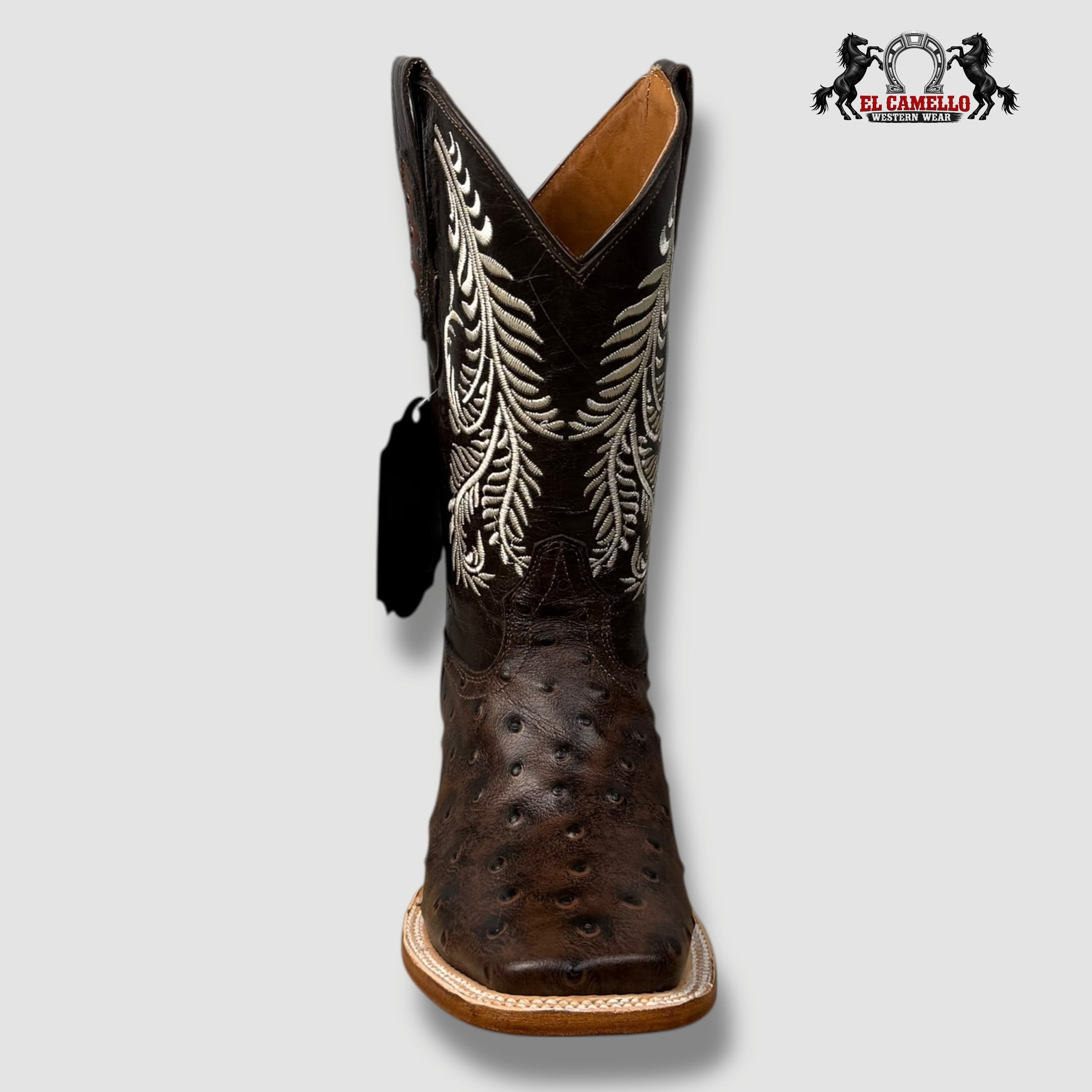Avestruz Cafe Torres Boots TBRCC135