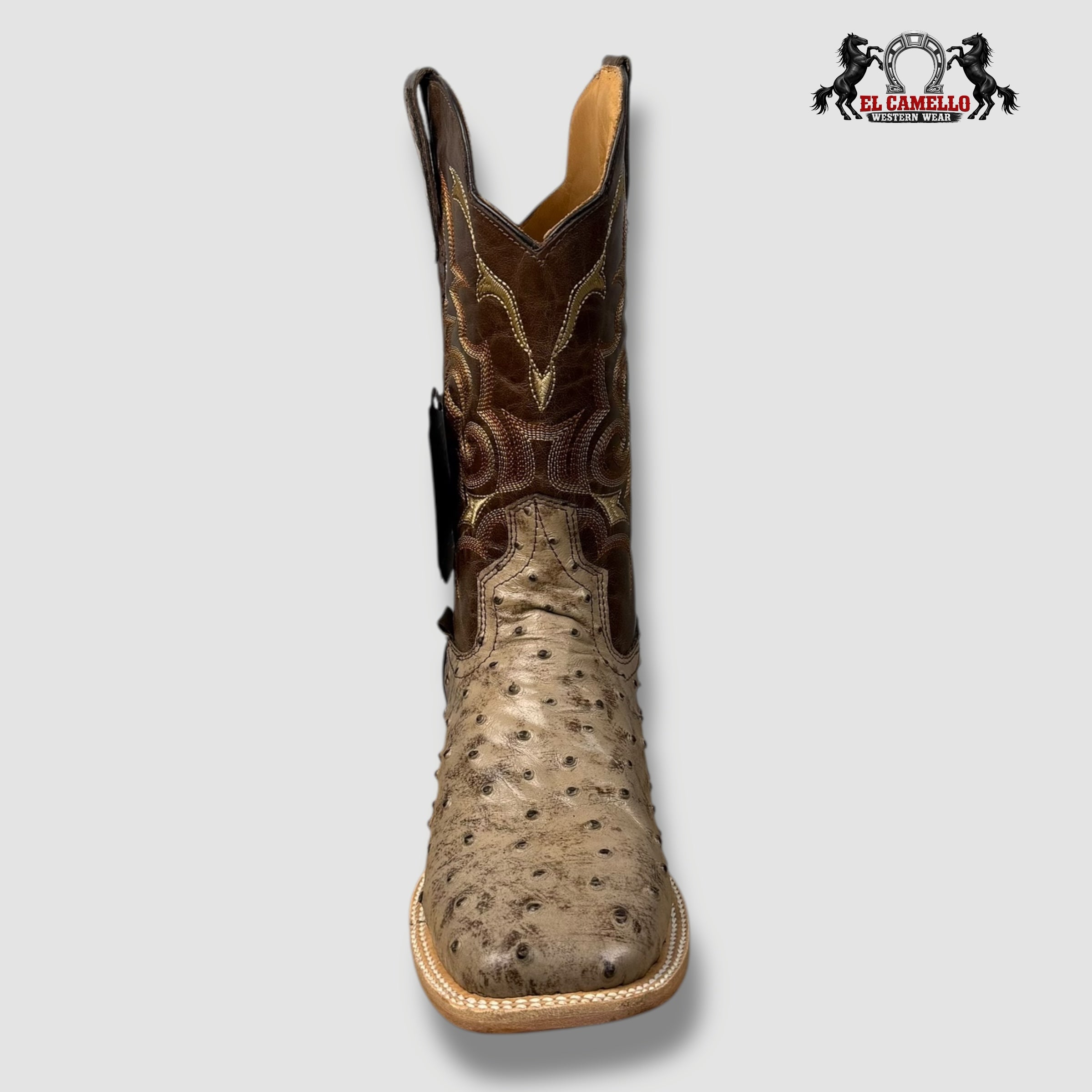 Avestruz Decierto Torres Boots TBRCC133