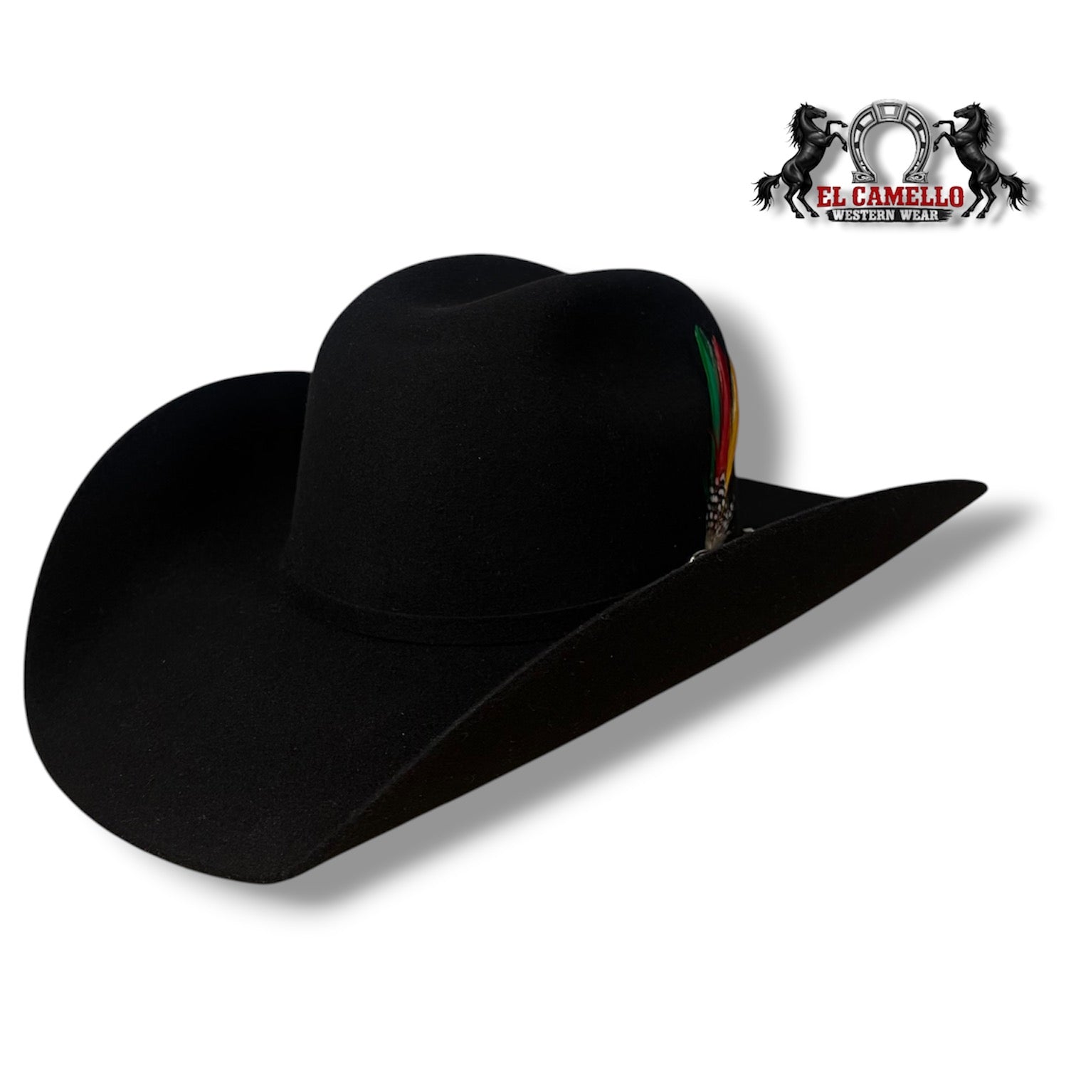 6x Torres Ranch "OSCAR" Felt - Black