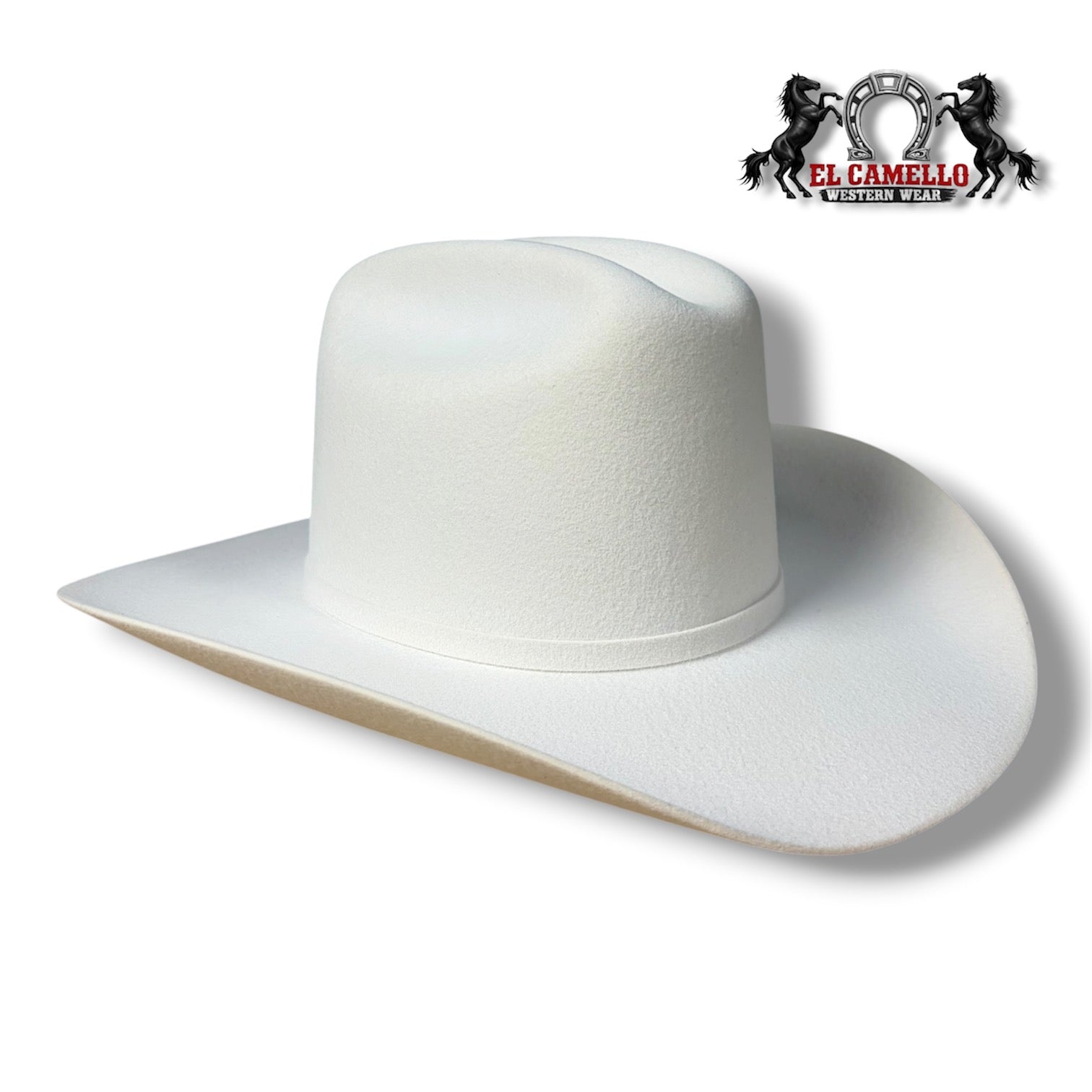 6x Torres Ranch "DURANGO" Felt - Winter White