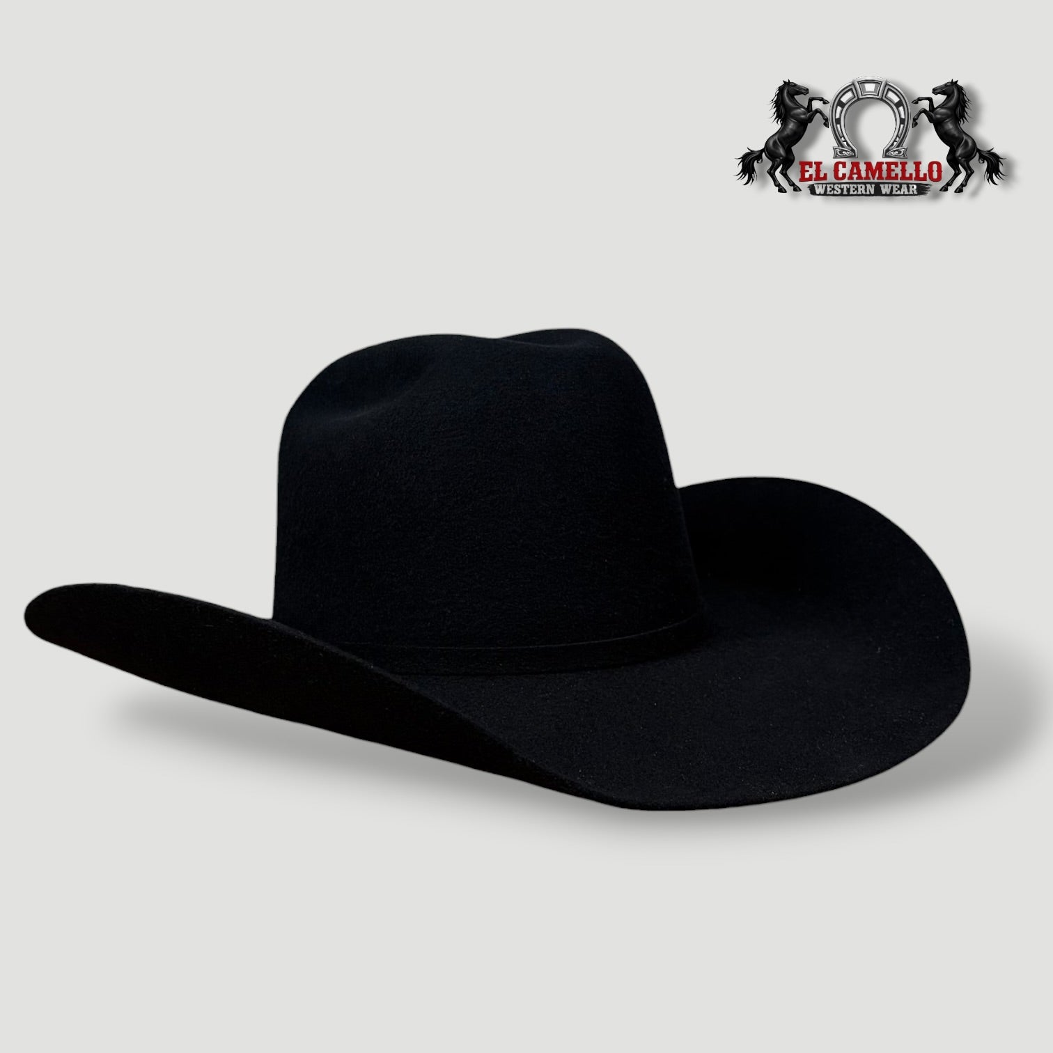 6x Torres Ranch "Minnick" Felt - Black