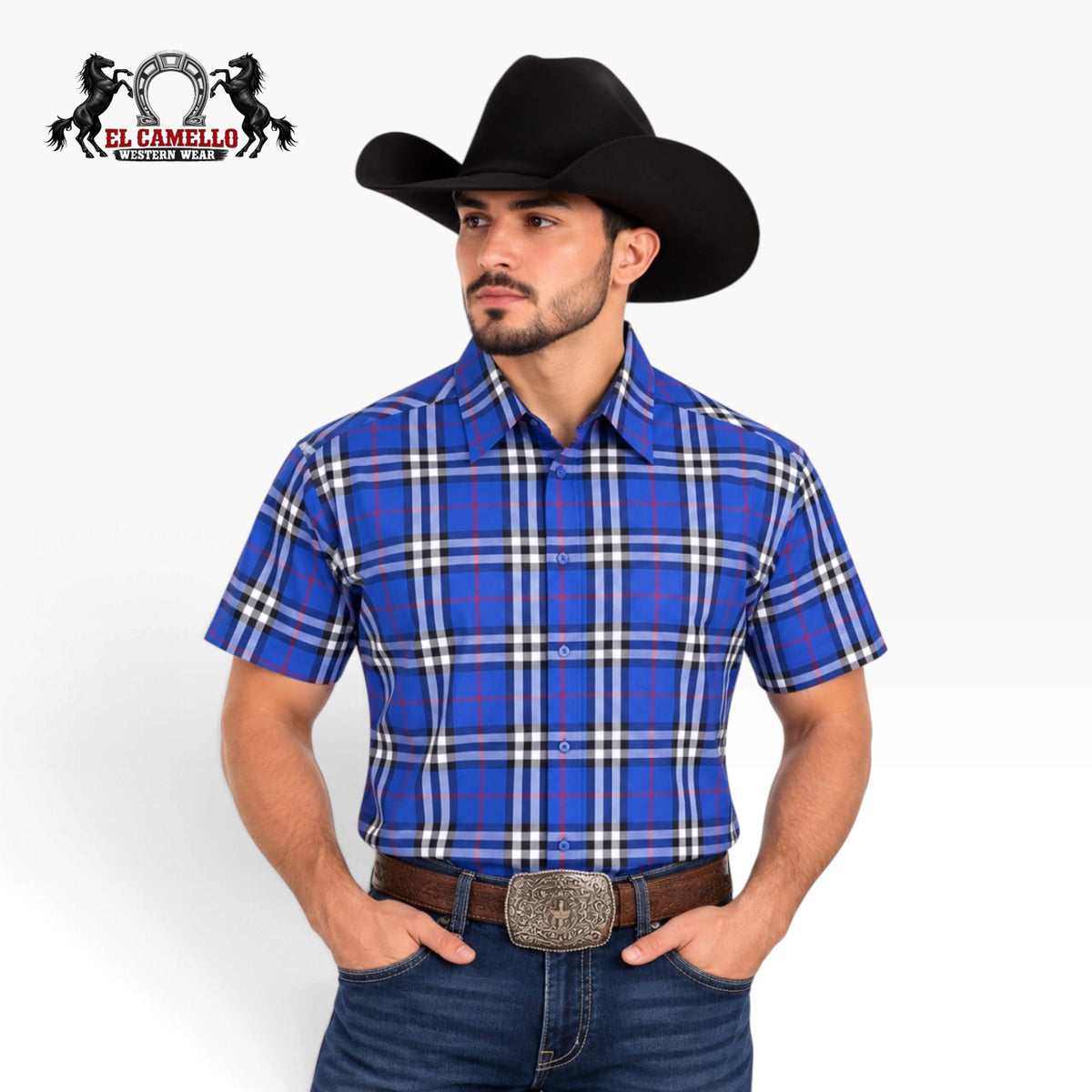 Baldelli Men’s Royal Blue Plaid Short Sleeve Button-Up Shirt – CHS-307