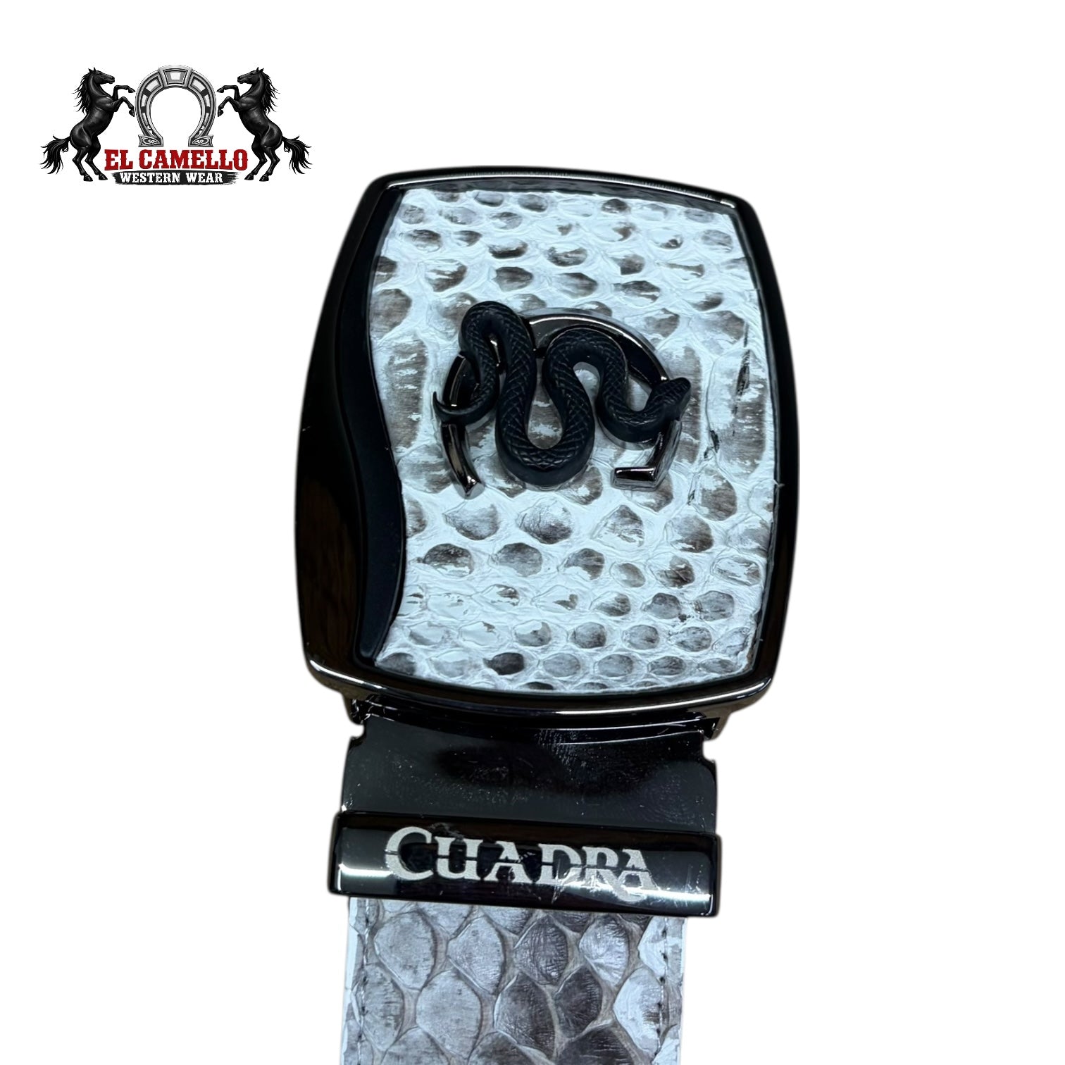 Cuadra Genuine Exotic Leather Belt
BC482