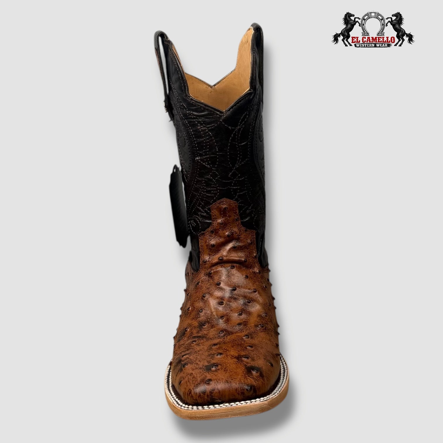 Avestruz Shedron Torres Boots TBRCC129