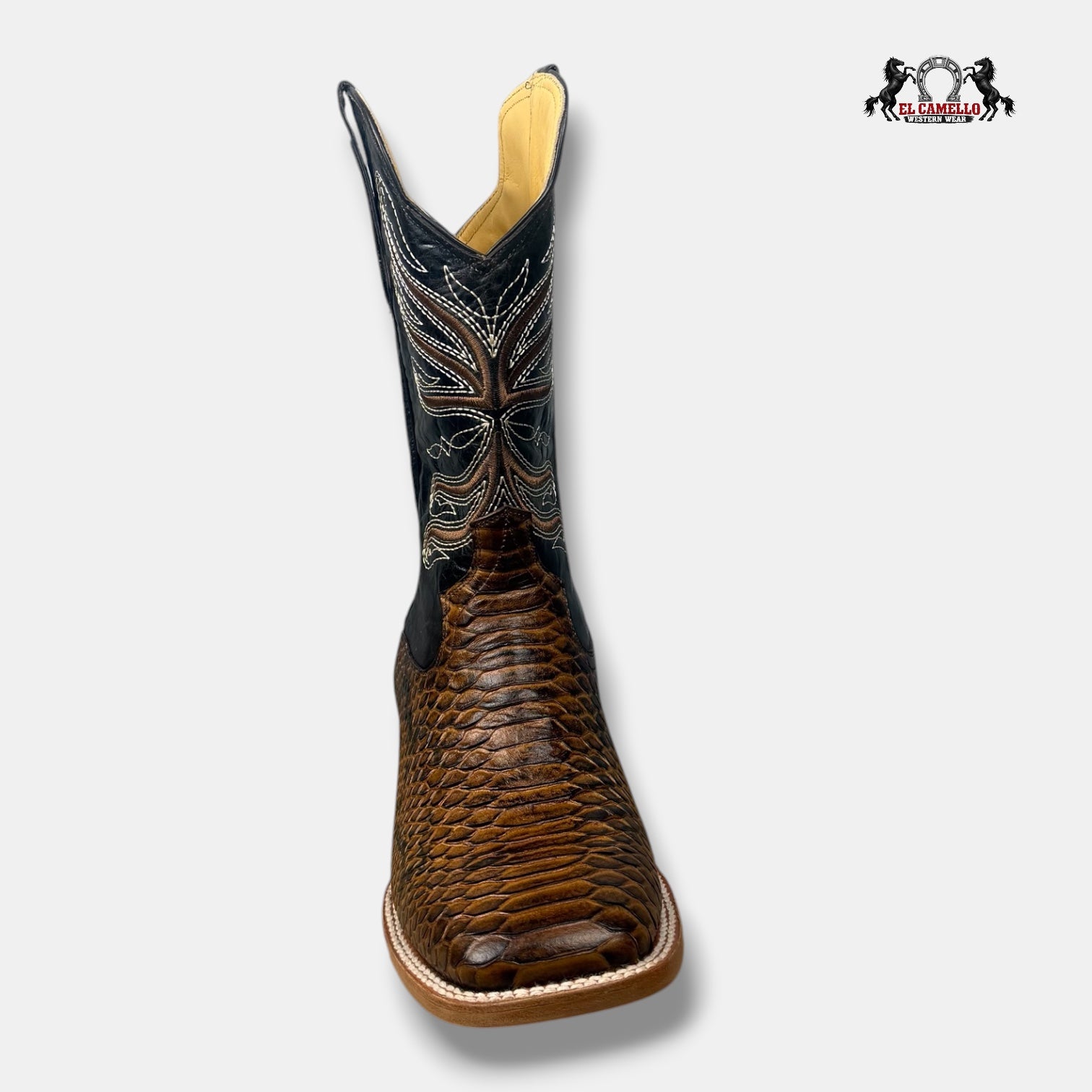 Python Miel Torres Boots TBRCC157