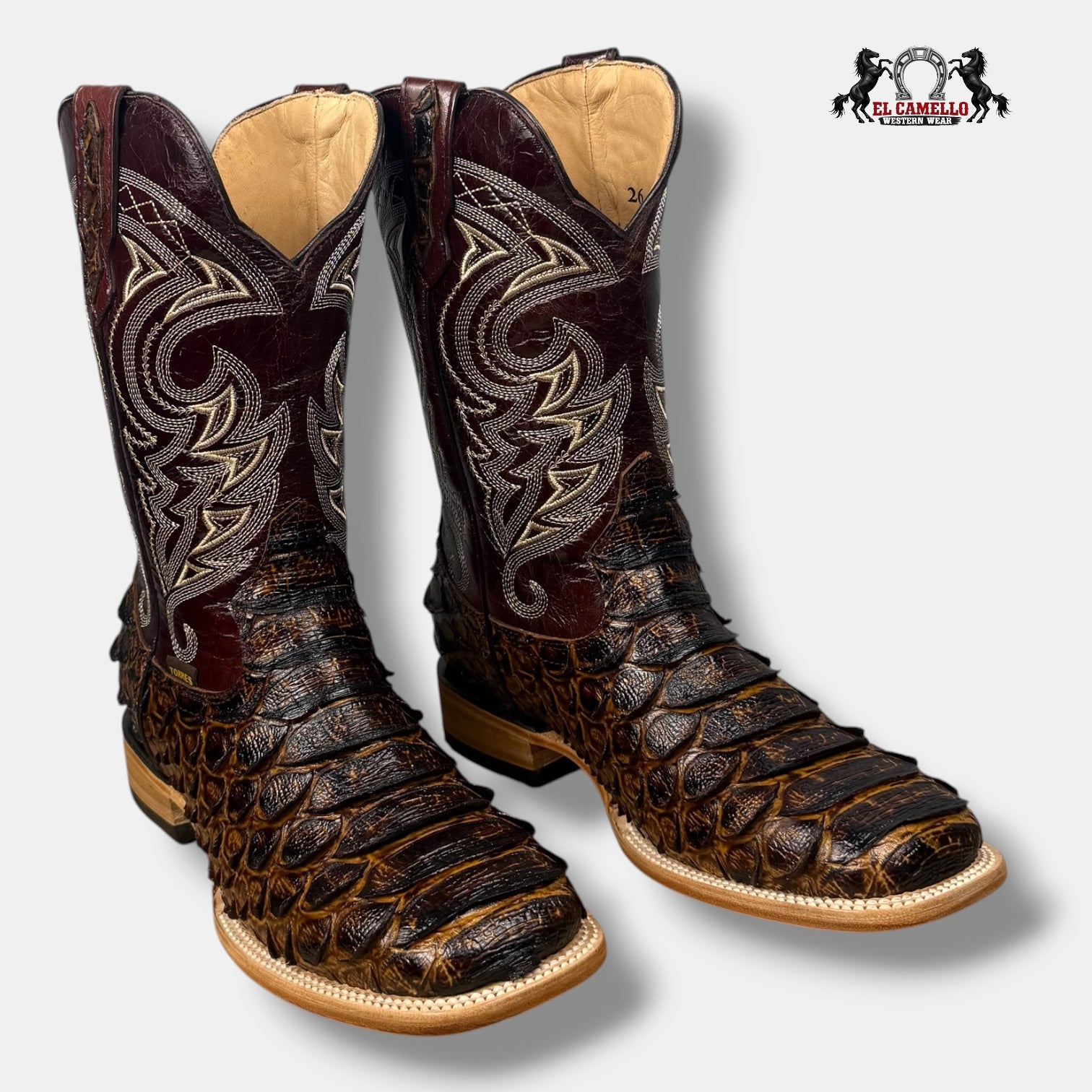 Python Jumbo Miel Torres Boots TBRCC163