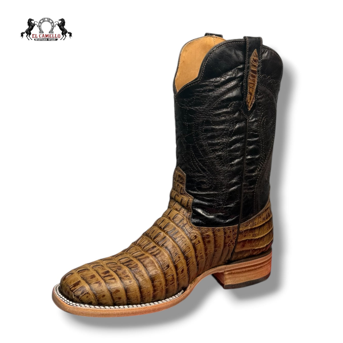 COLA CAIMAN MIEL TORRES BOOTS TBRCC215
