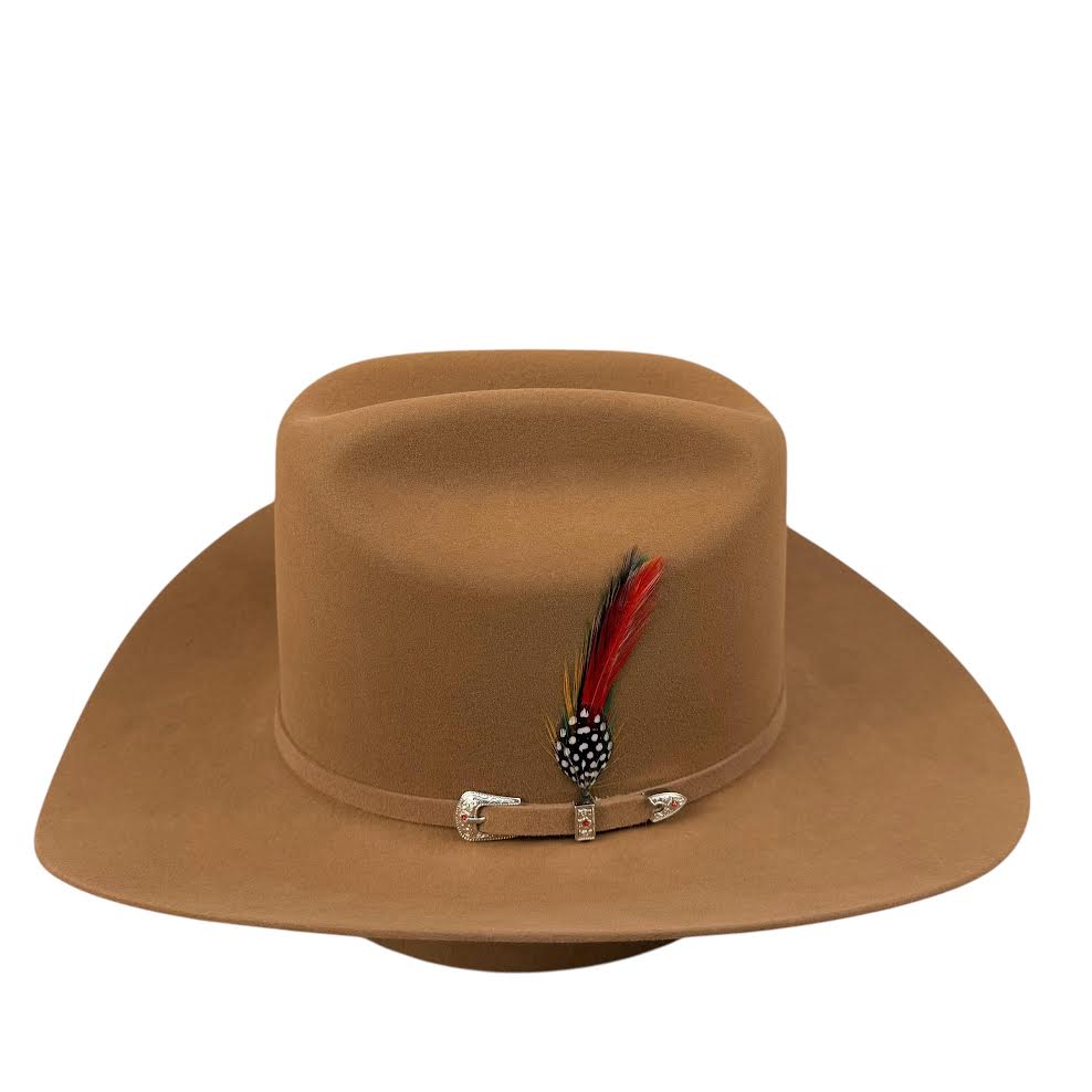 6X RDR Parton PECAN 6XEP40