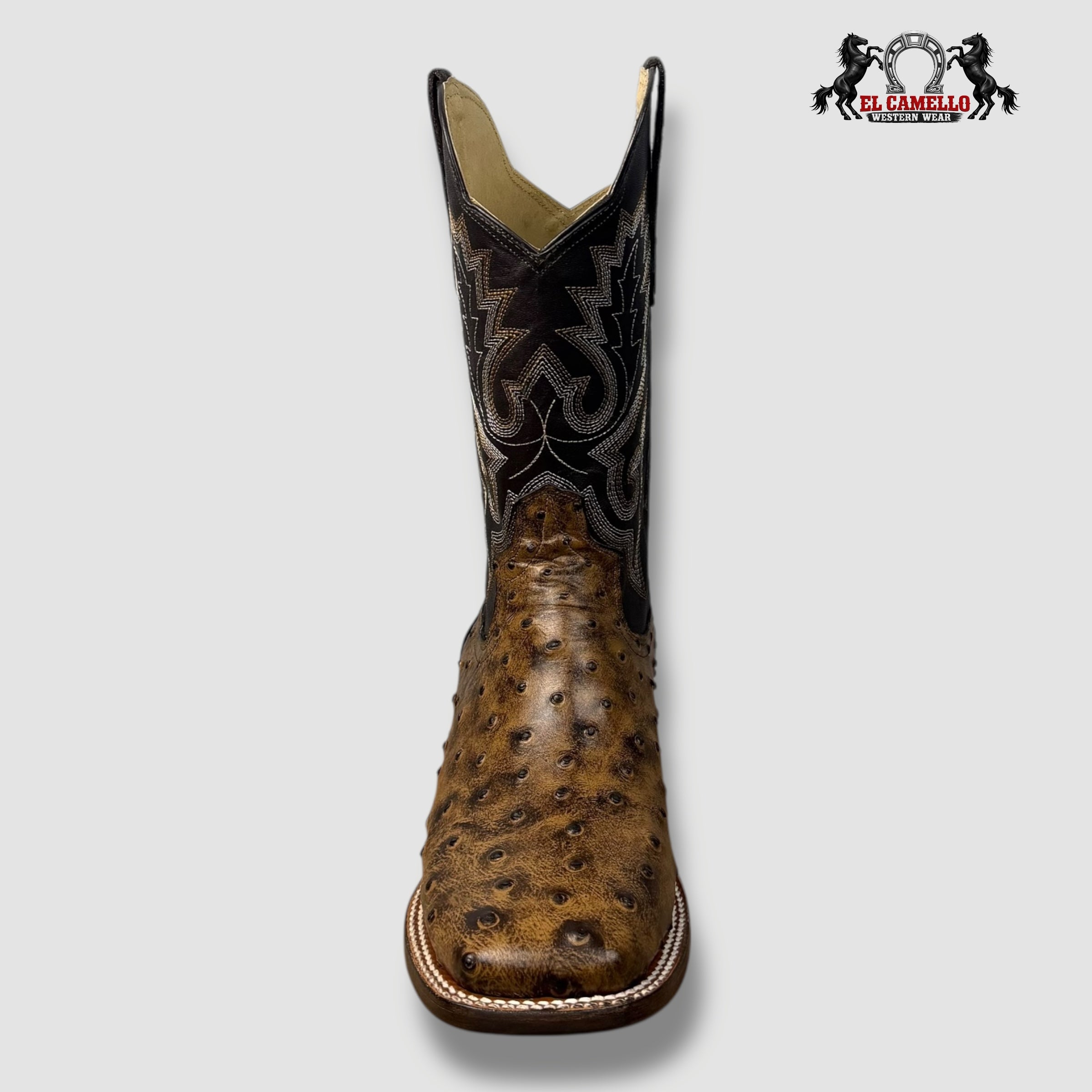 Avestruz Miel Rodeo Torres Boots TBRCC145