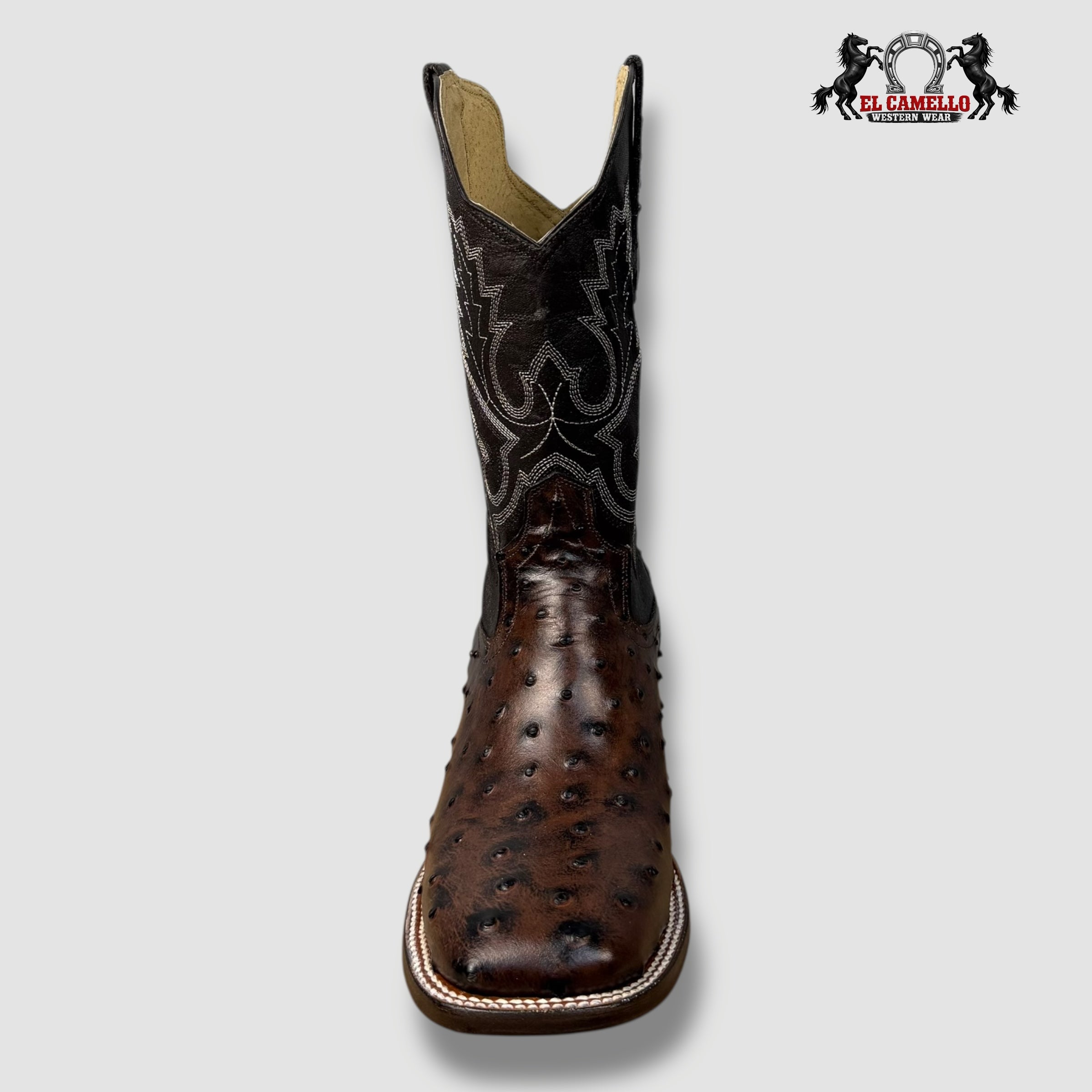 Avestruz Café Rodeo Torres Boots TBRCC144