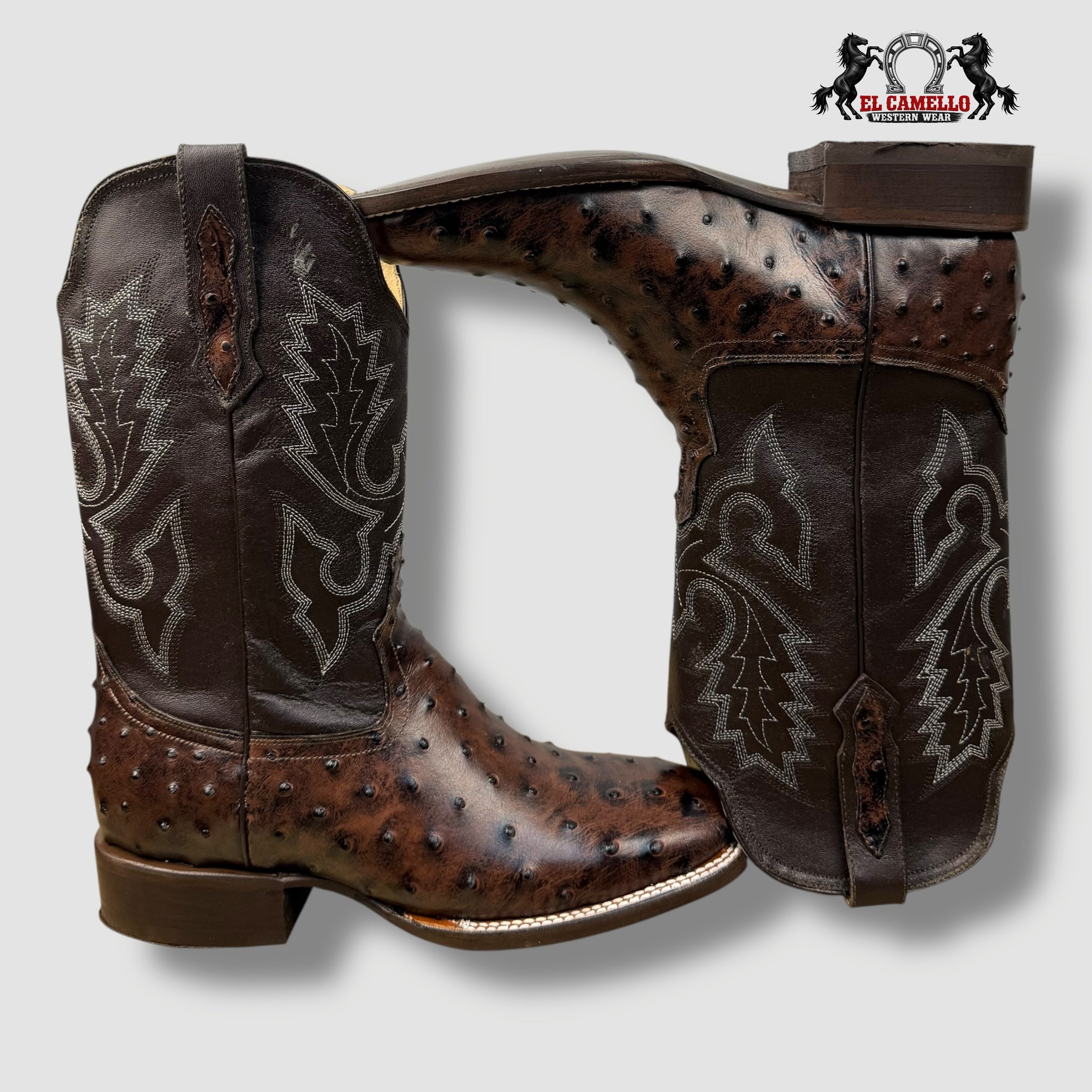 Avestruz Café Rodeo Torres Boots TBRCC144