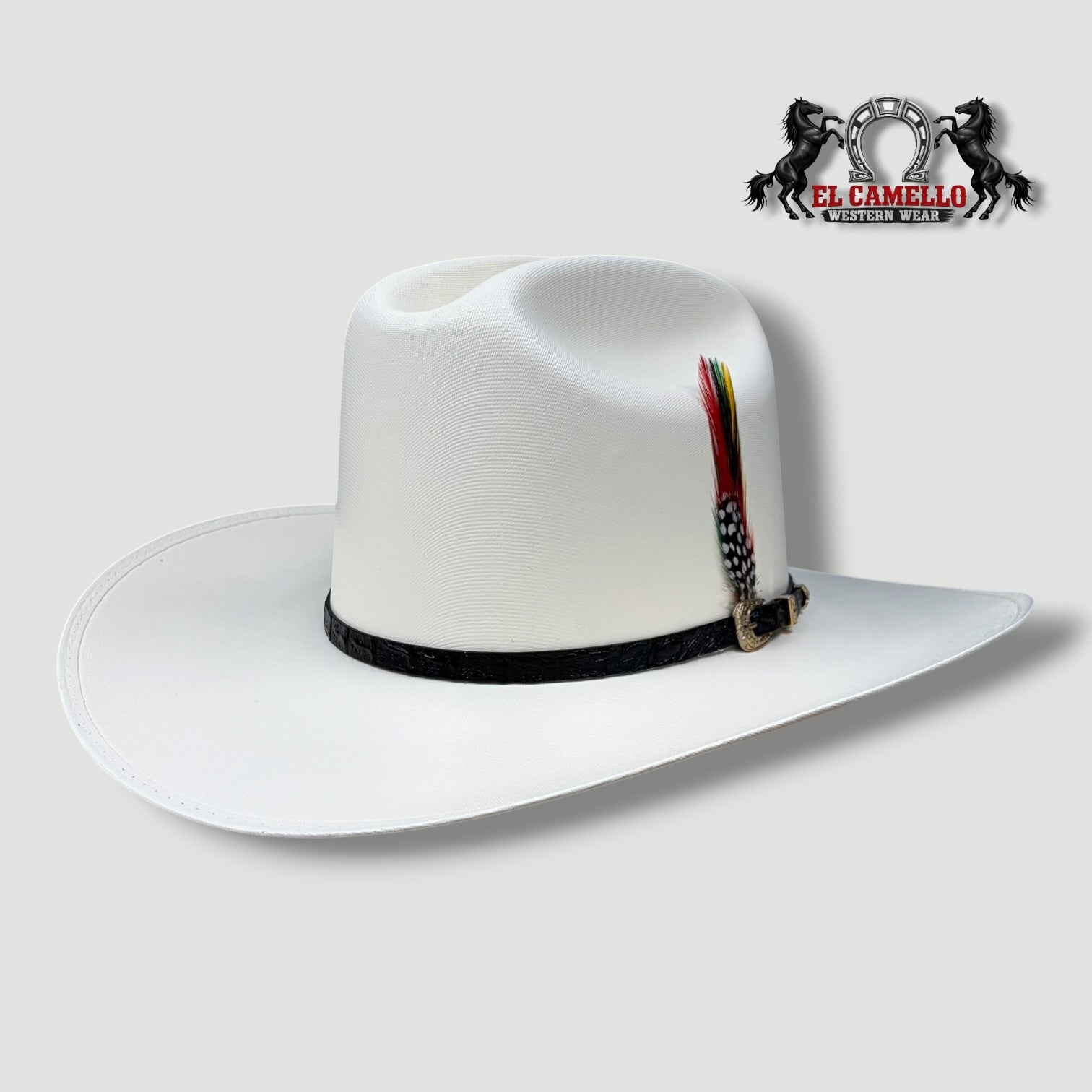 5000 Torres Ranch "JOHNSON" Sombrero