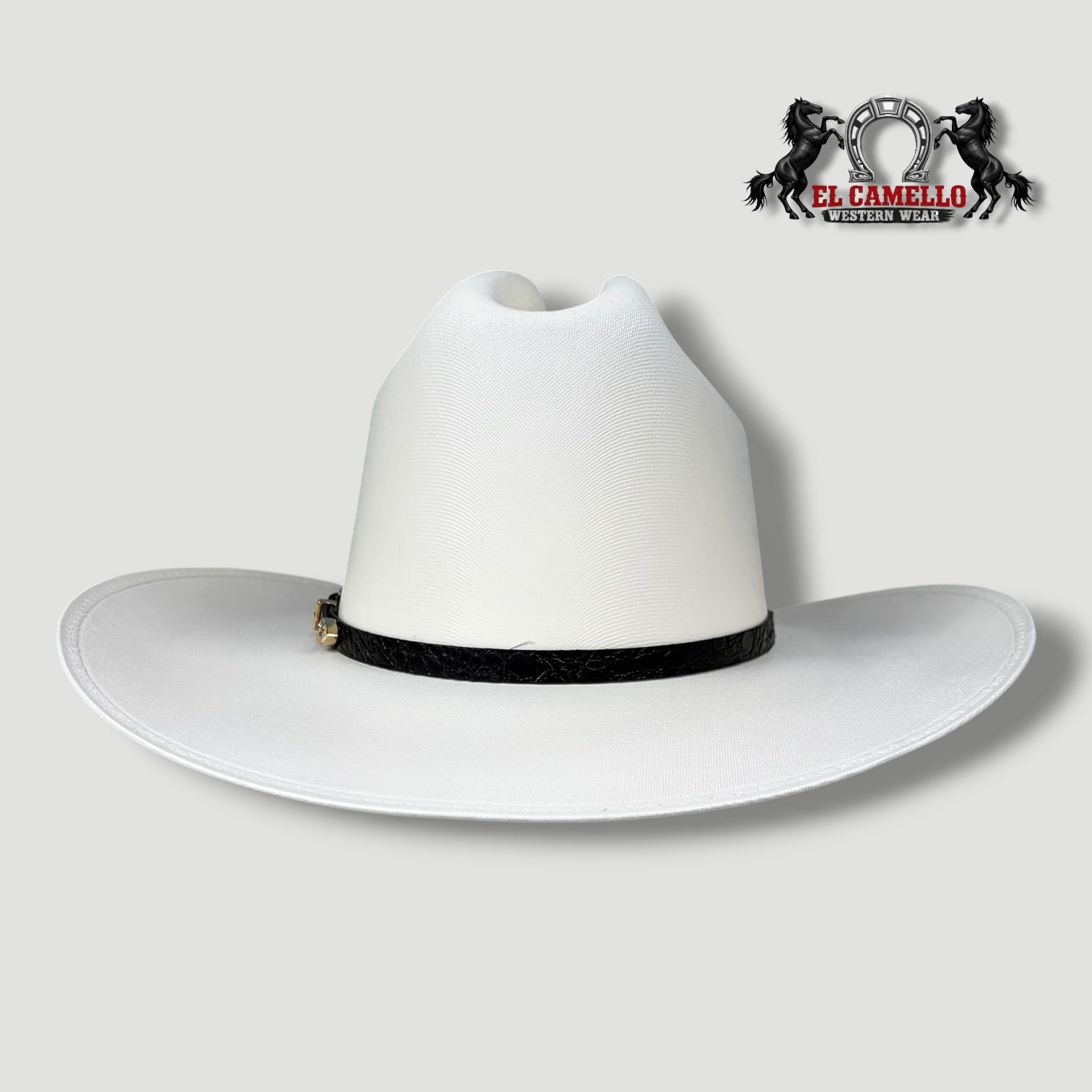 5000 Torres Ranch "JOHNSON" Sombrero