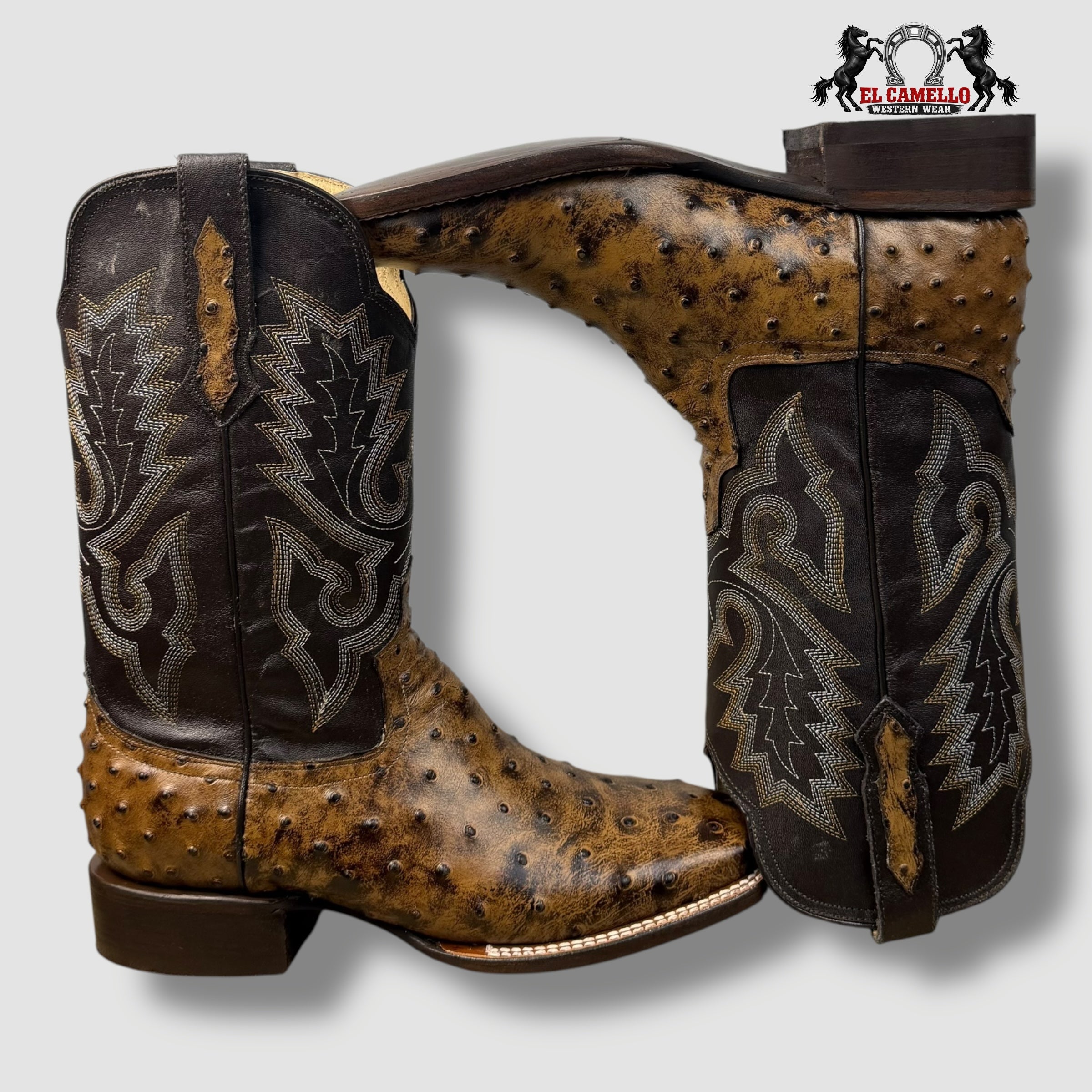 Avestruz Miel Rodeo Torres Boots TBRCC145