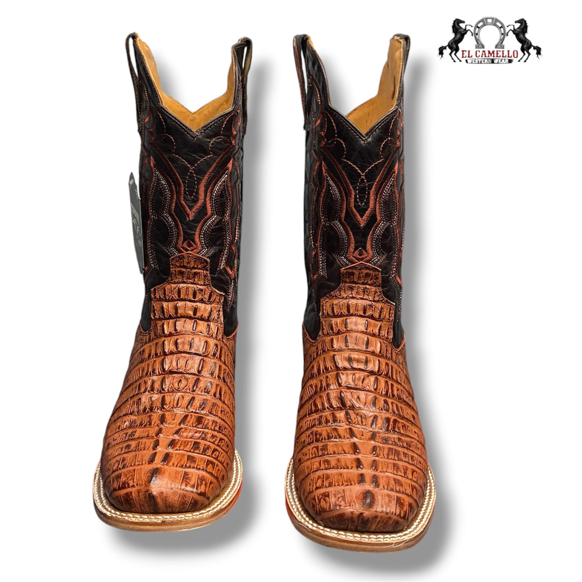 COLA SHEDRON TORRES BOOTS