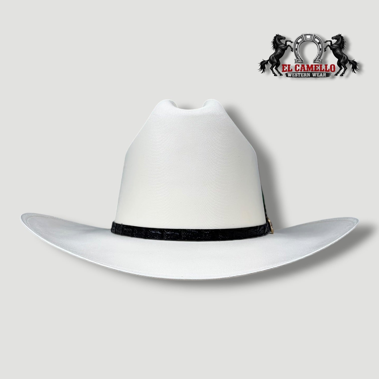 5000 Torres Ranch "JOHNSON" Sombrero
