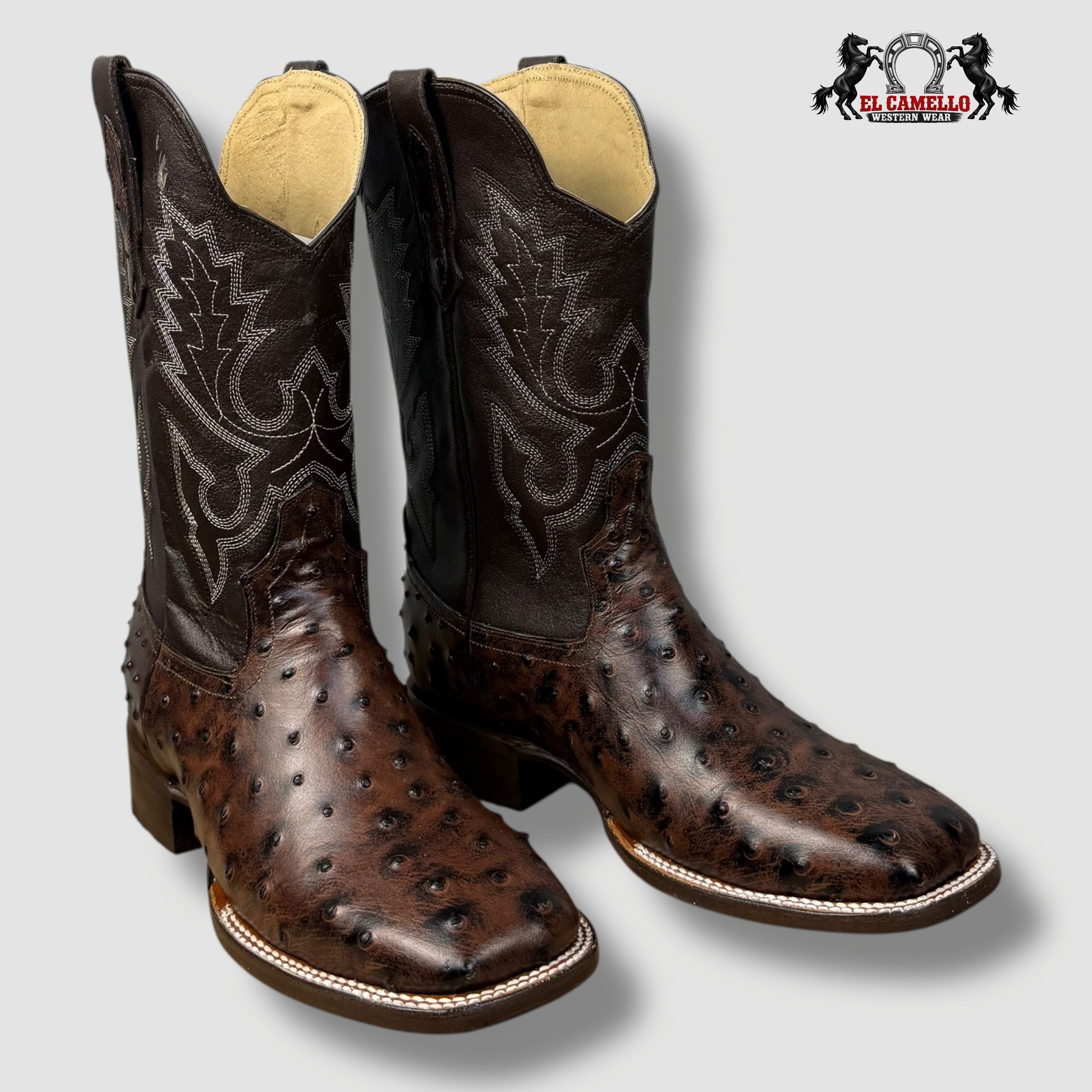 Avestruz Café Rodeo Torres Boots TBRCC144