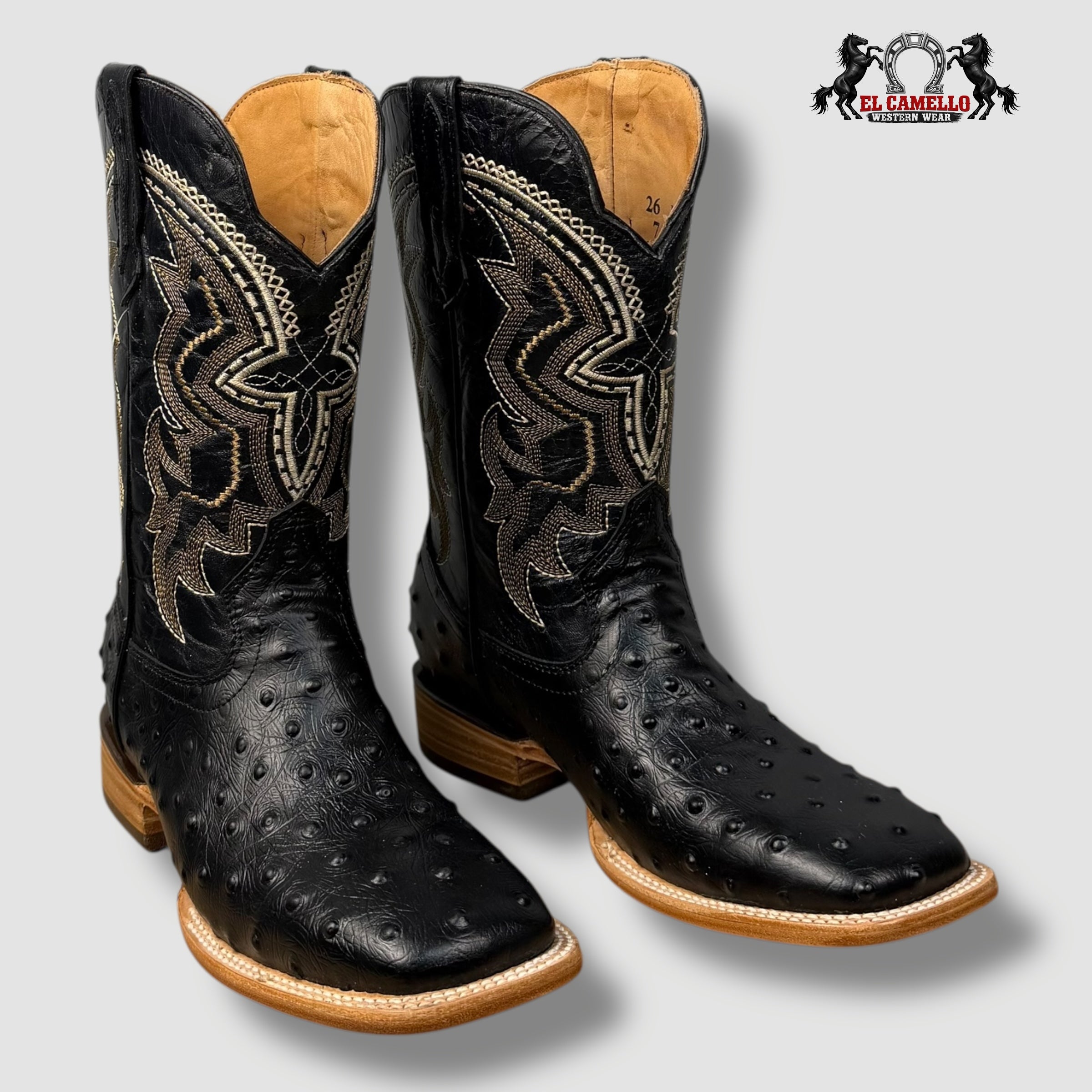 Avestruz Negro Torres Boots TBRCC134