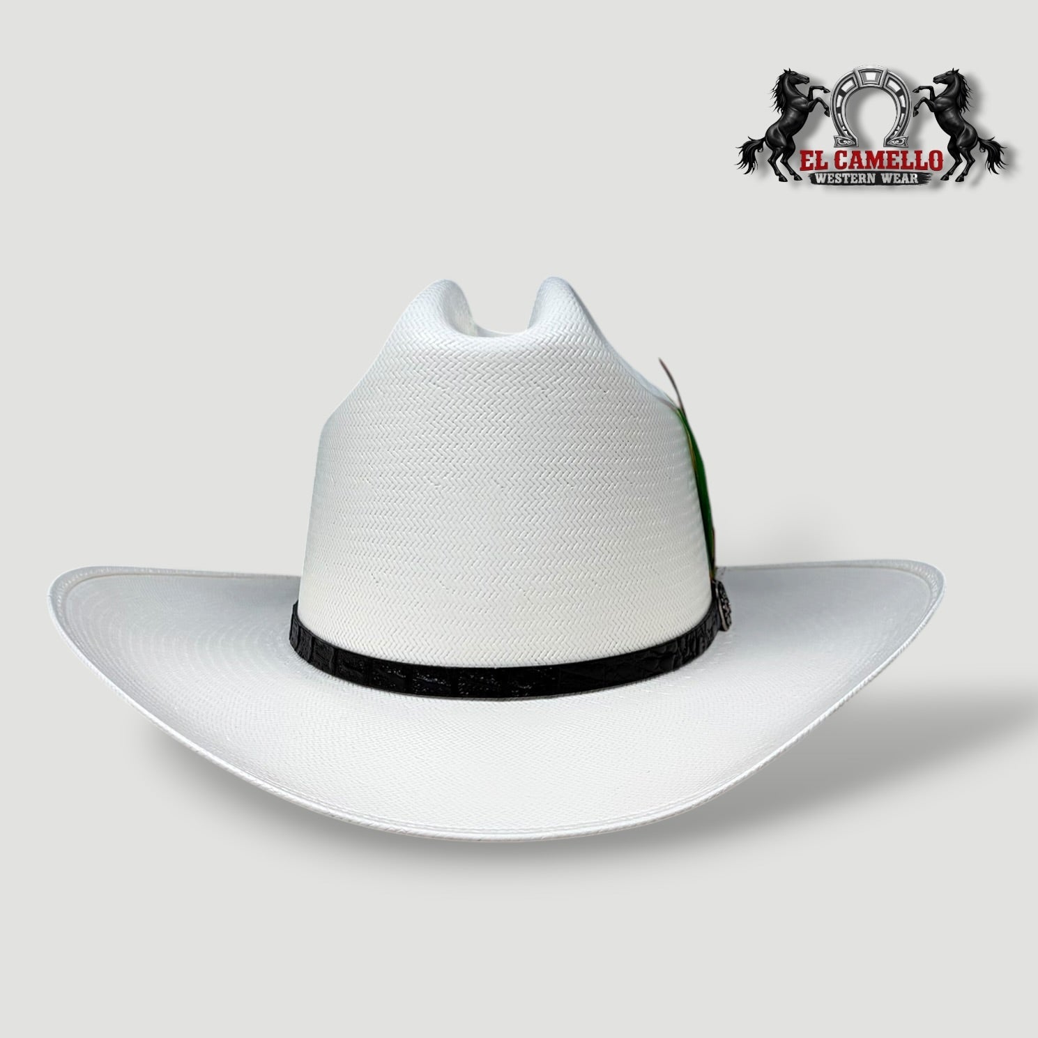 30X Torres Ranch "JOHNSON" Sombrero