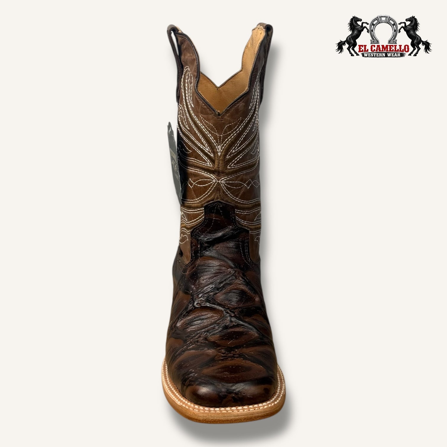Pescado Pirarucu Jumbo Miel Torres Boots TBRM134