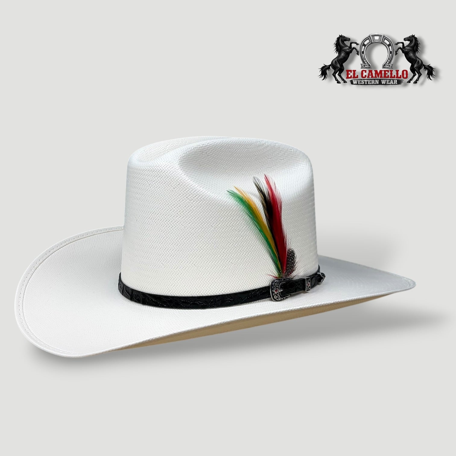 30X Torres Ranch "JOHNSON" Sombrero