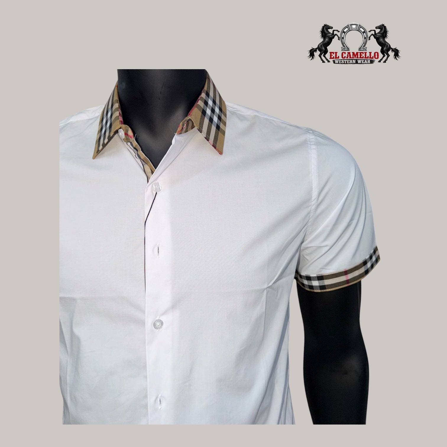 CASALI CHSS2130 White
