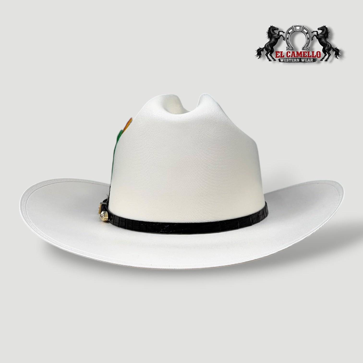 5000 Torres Ranch "RANCHERA" Sombrero