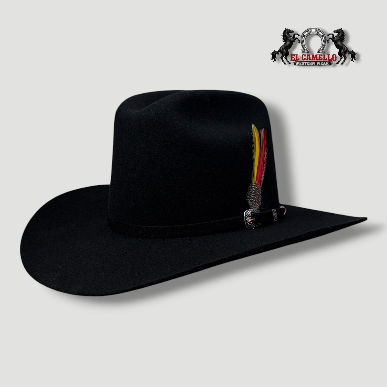 6x Torres Ranch "DURANGO" Felt - Black