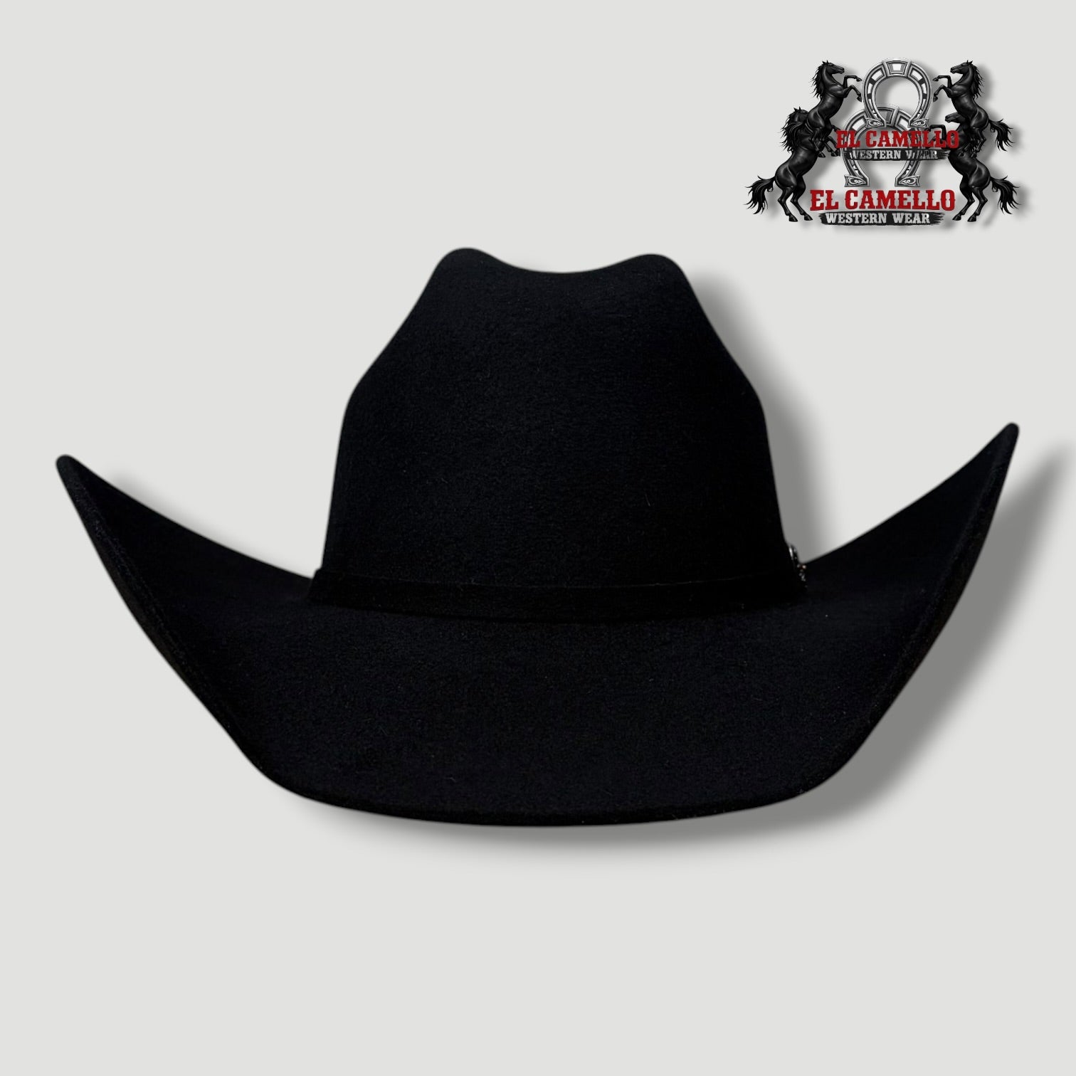 6x Torres Ranch "OSCAR" Felt - Black