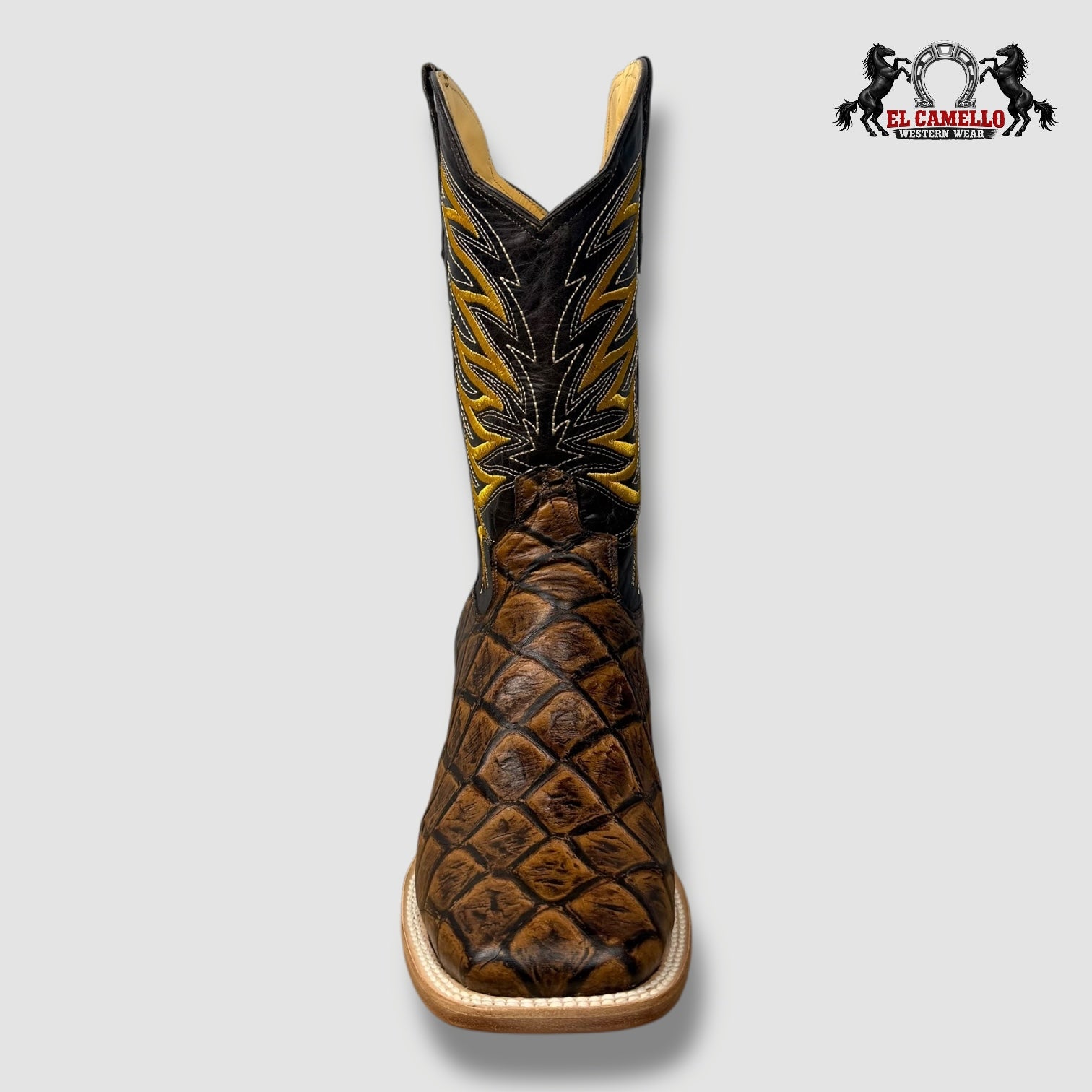 Pescado Miel Torres Boots TBRCC113