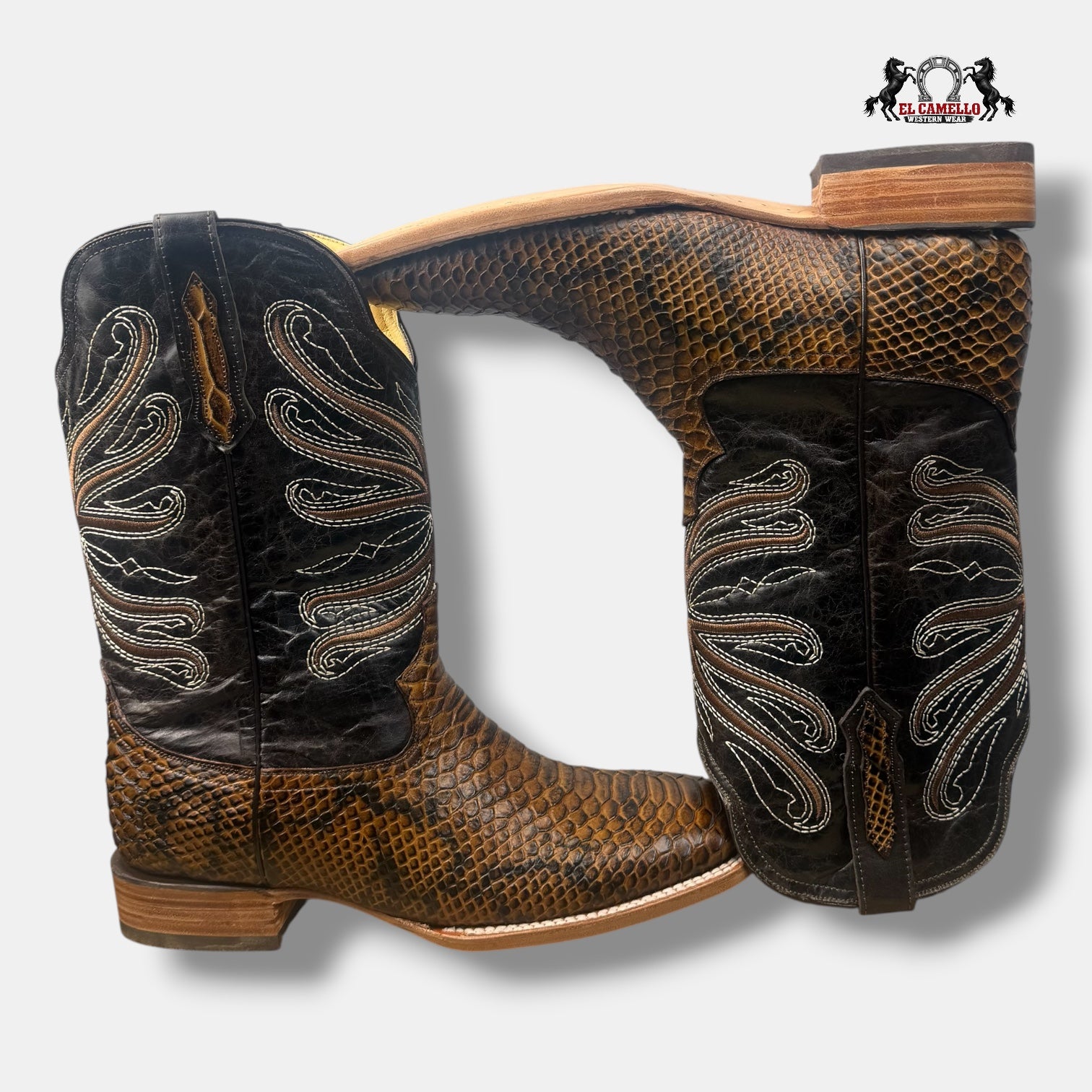 Python Miel Torres Boots TBRCC157