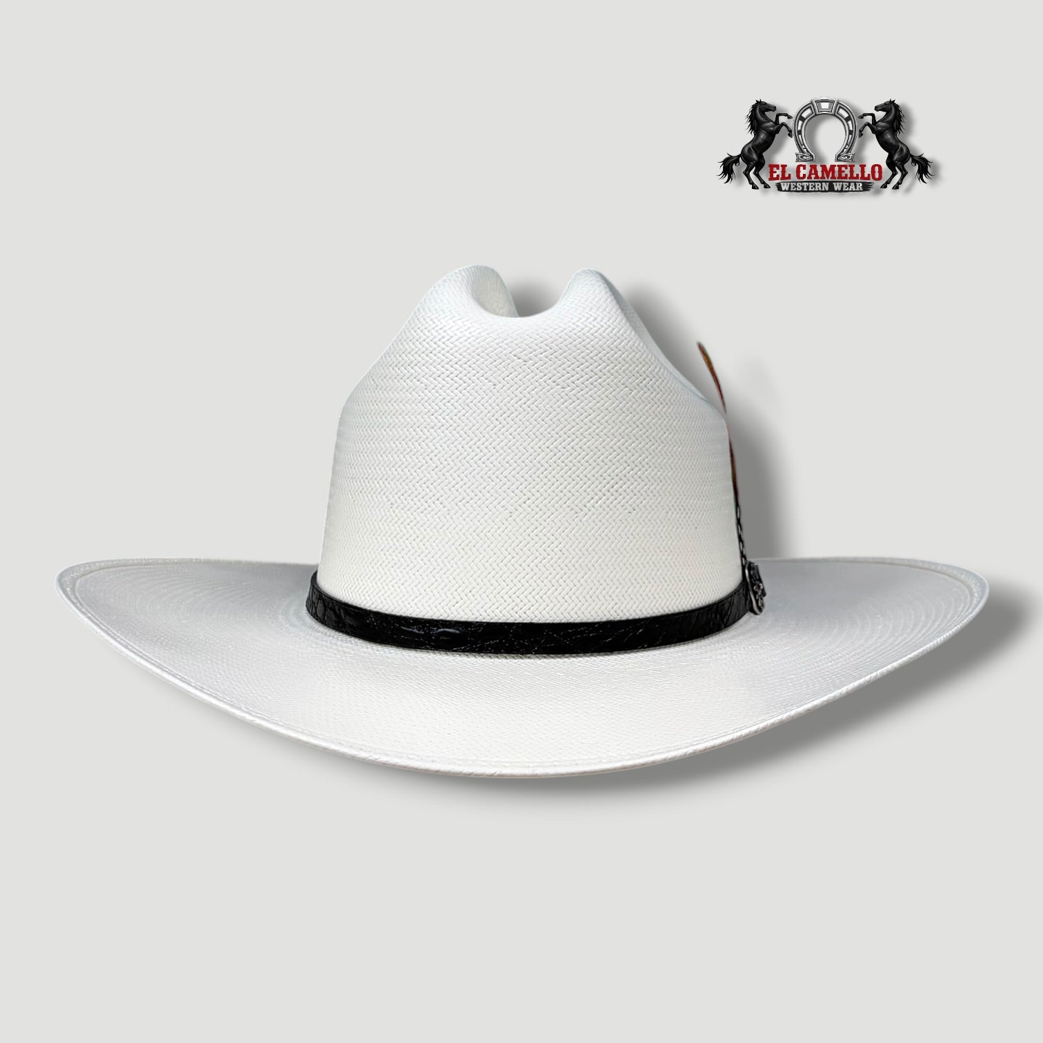 30X Torres Ranch "Ranchera" Sombrero