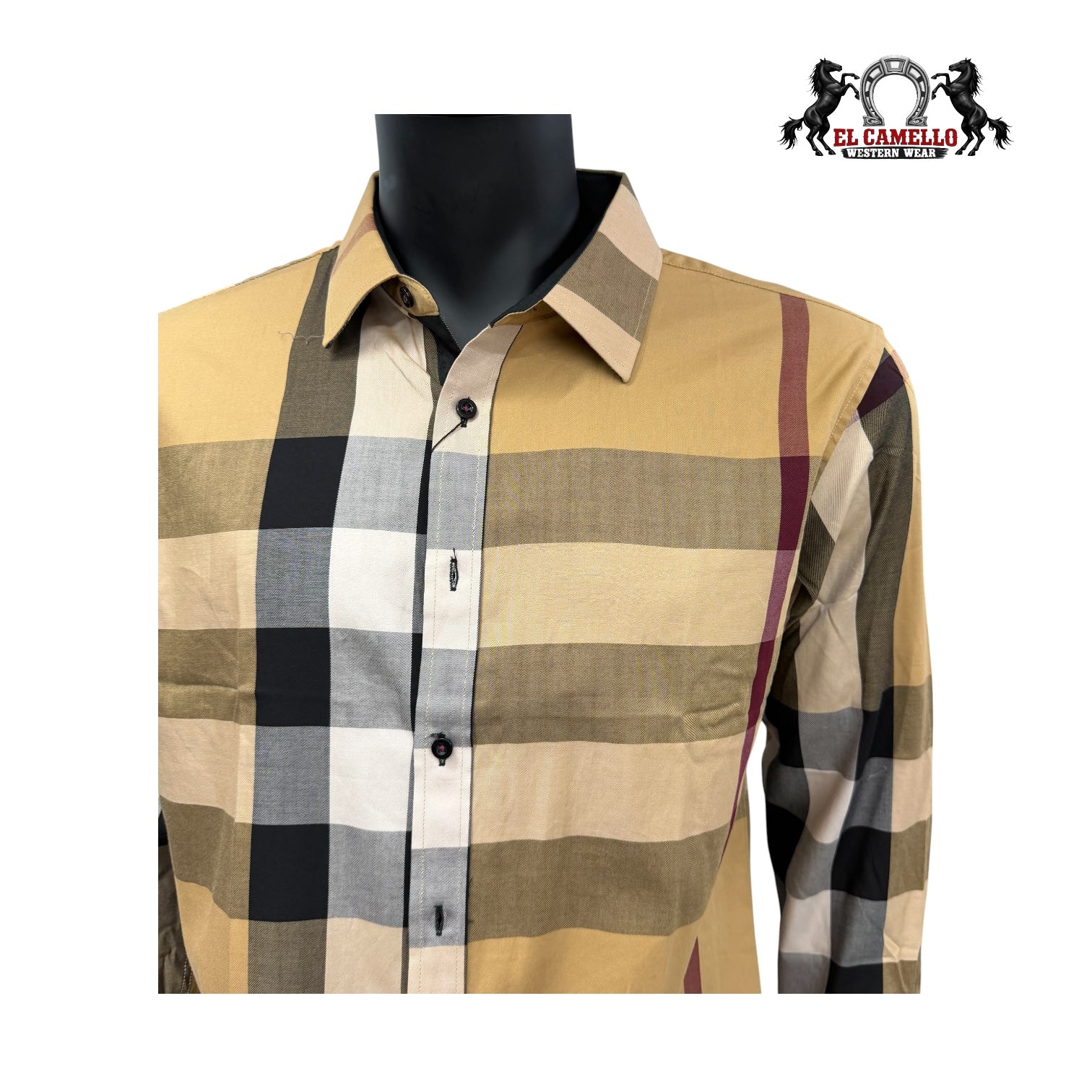 BALDELLI CH-201  CAMEL