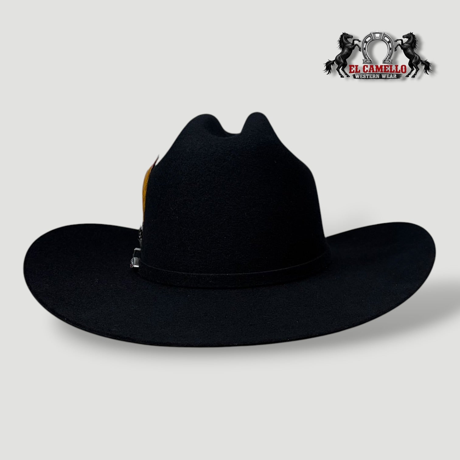 6x Torres Ranch "JOHNSON" Felt - Black