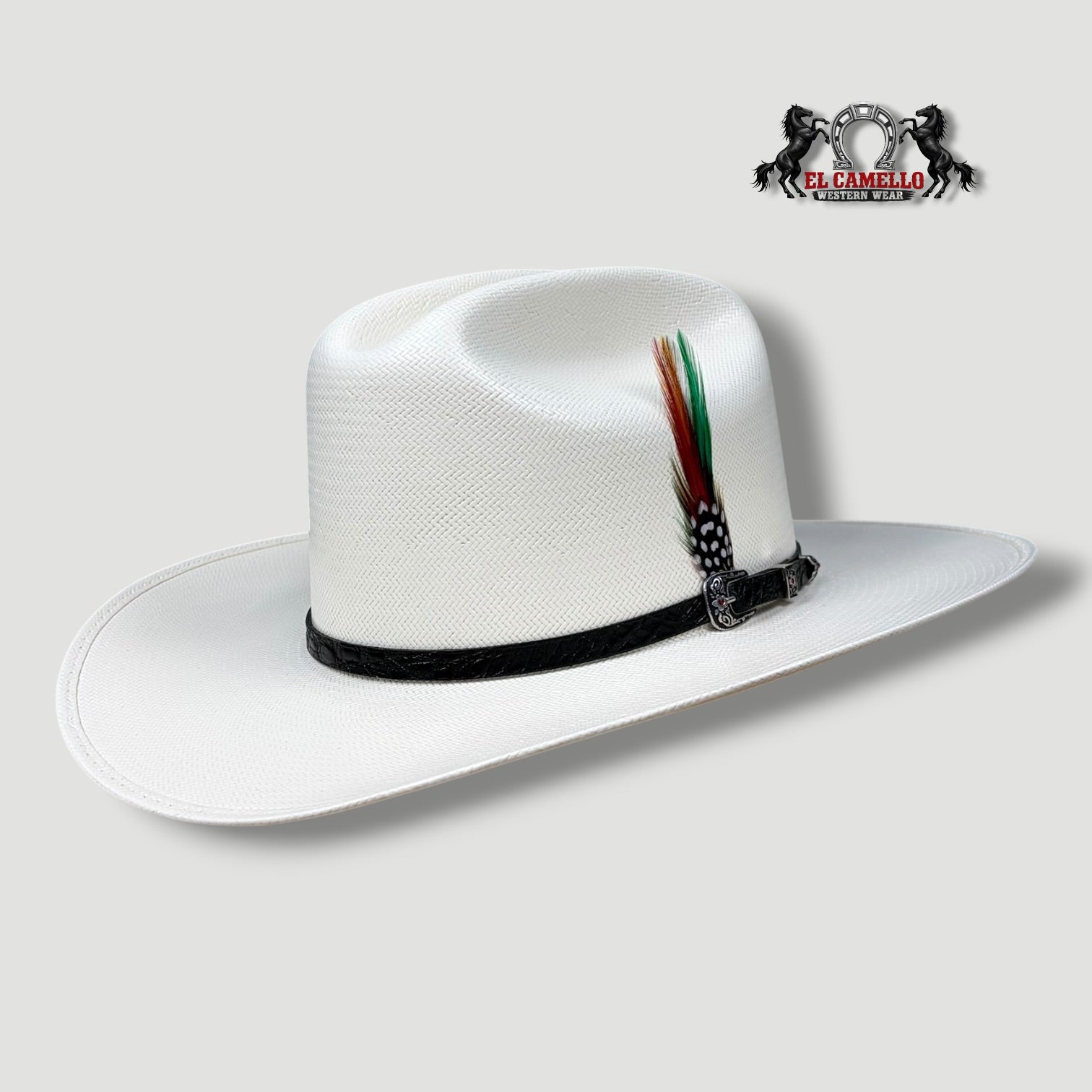 30X Torres Ranch "Ranchera" Sombrero